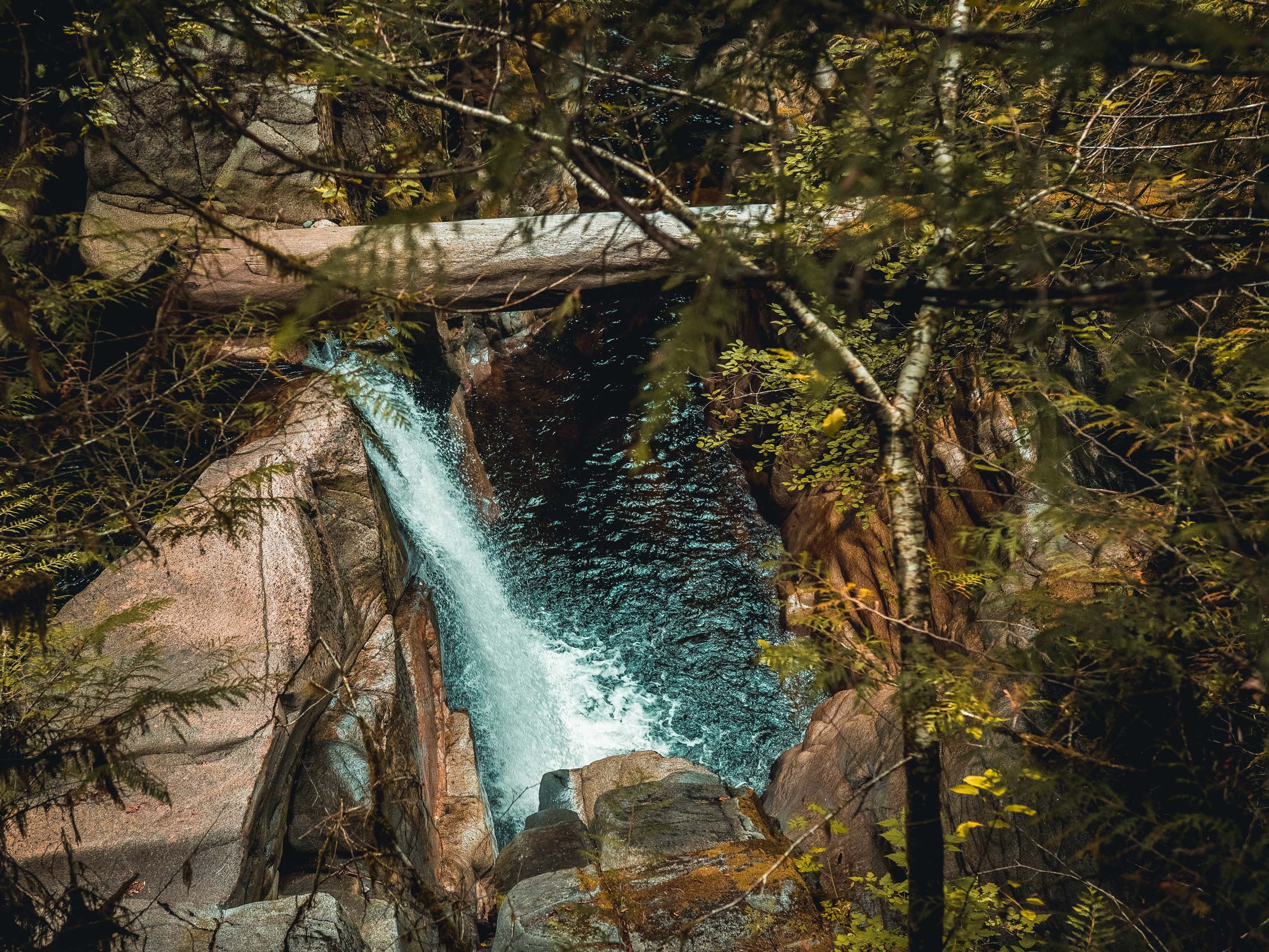 Chapman Falls trail in Sechelt