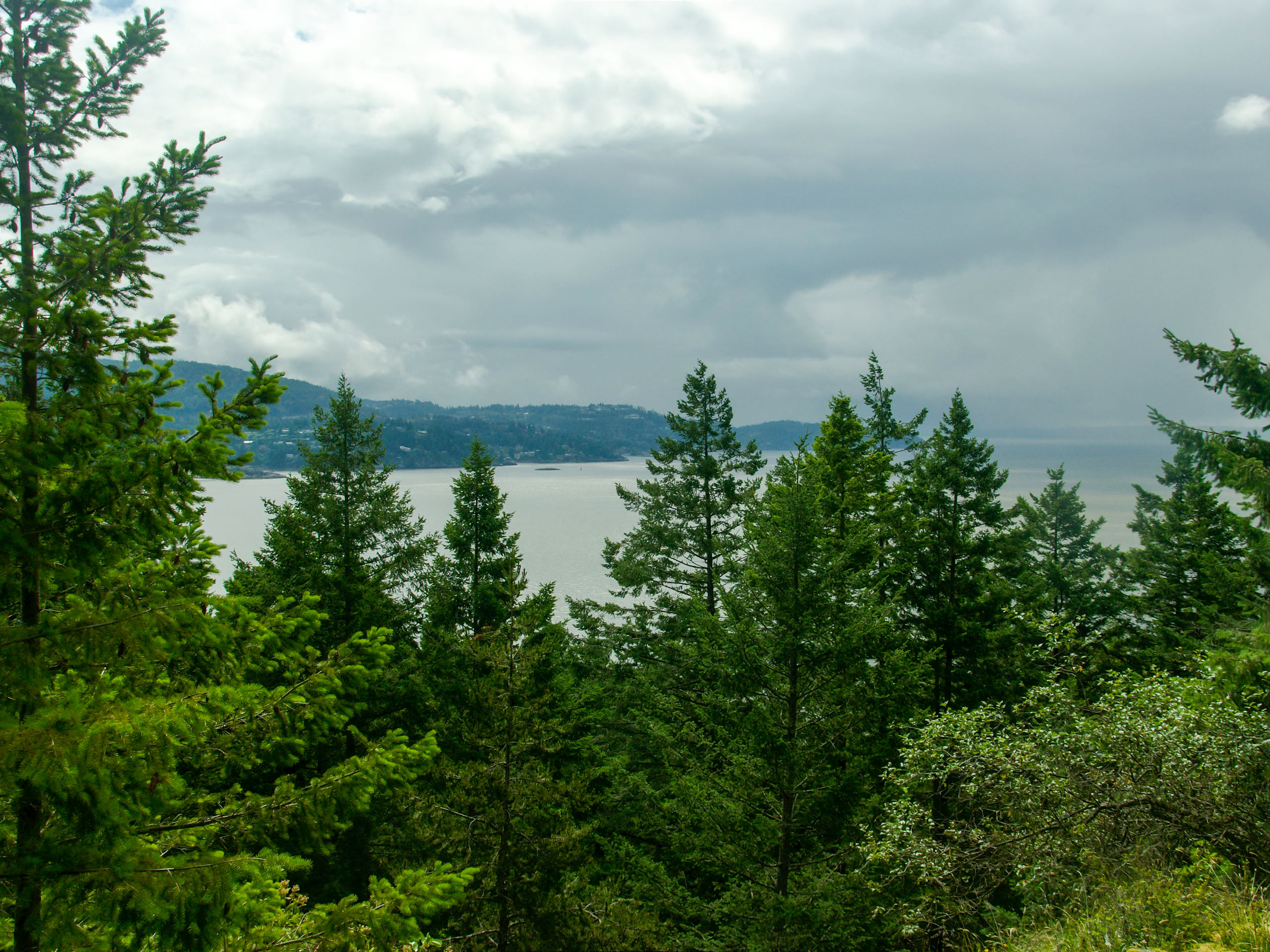 Dorman Point Trail