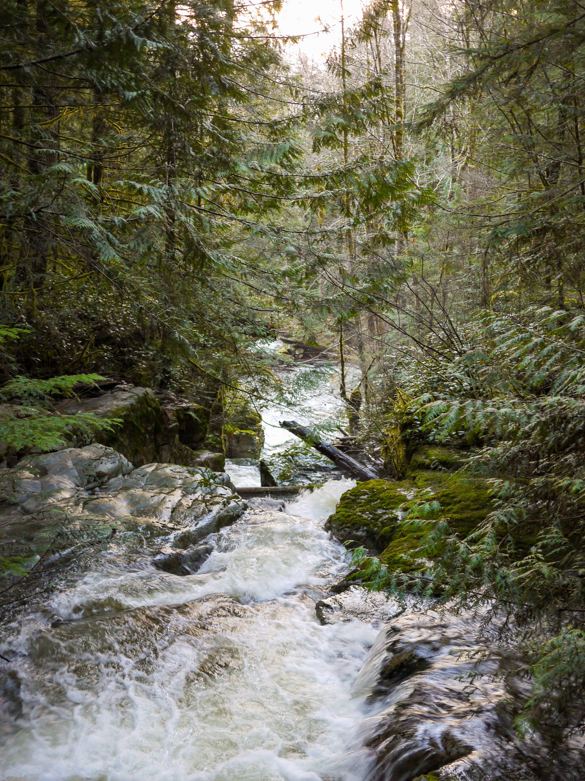 Suicide Creek Trail