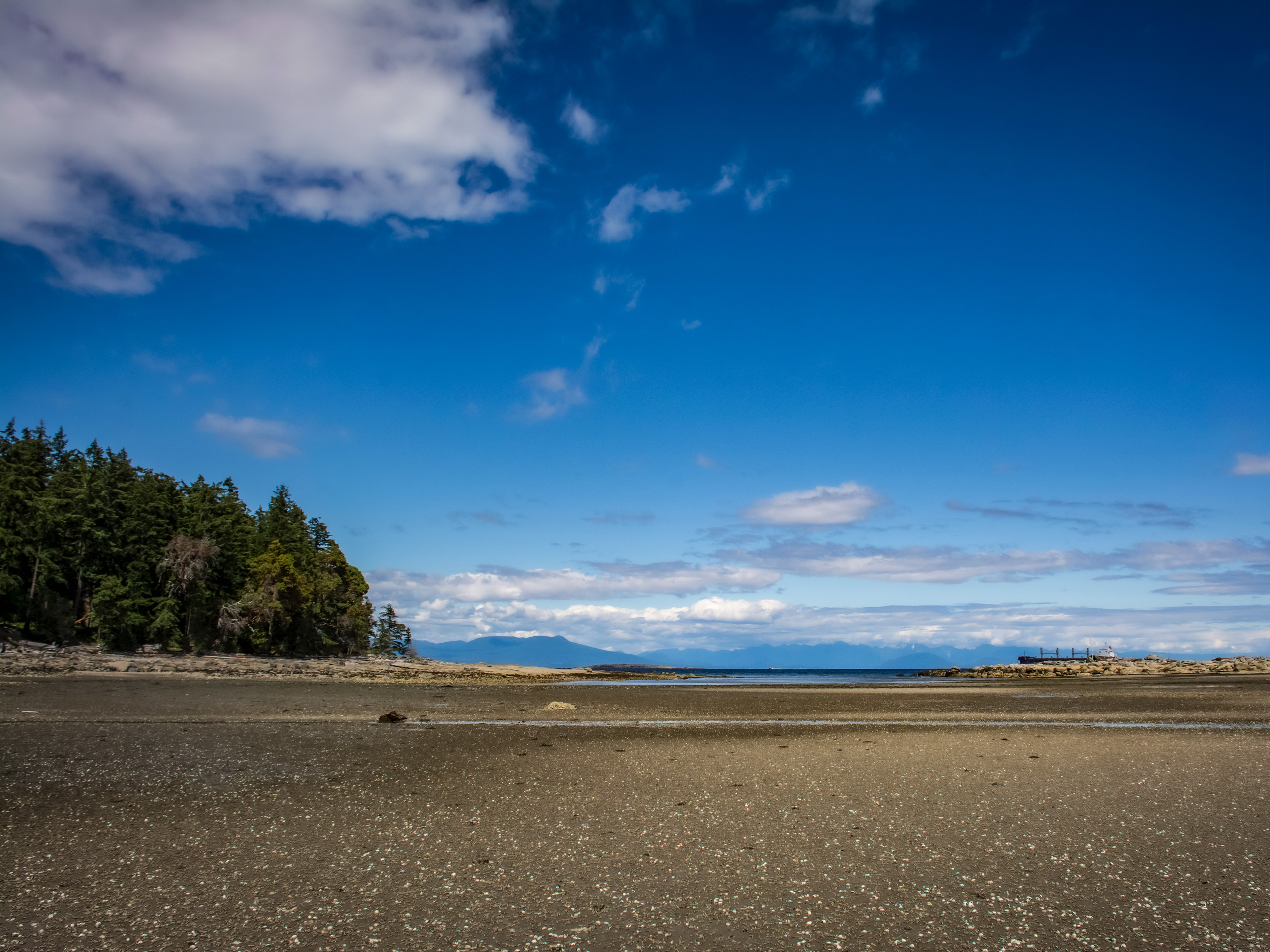 Newcastle Island Bates Trail