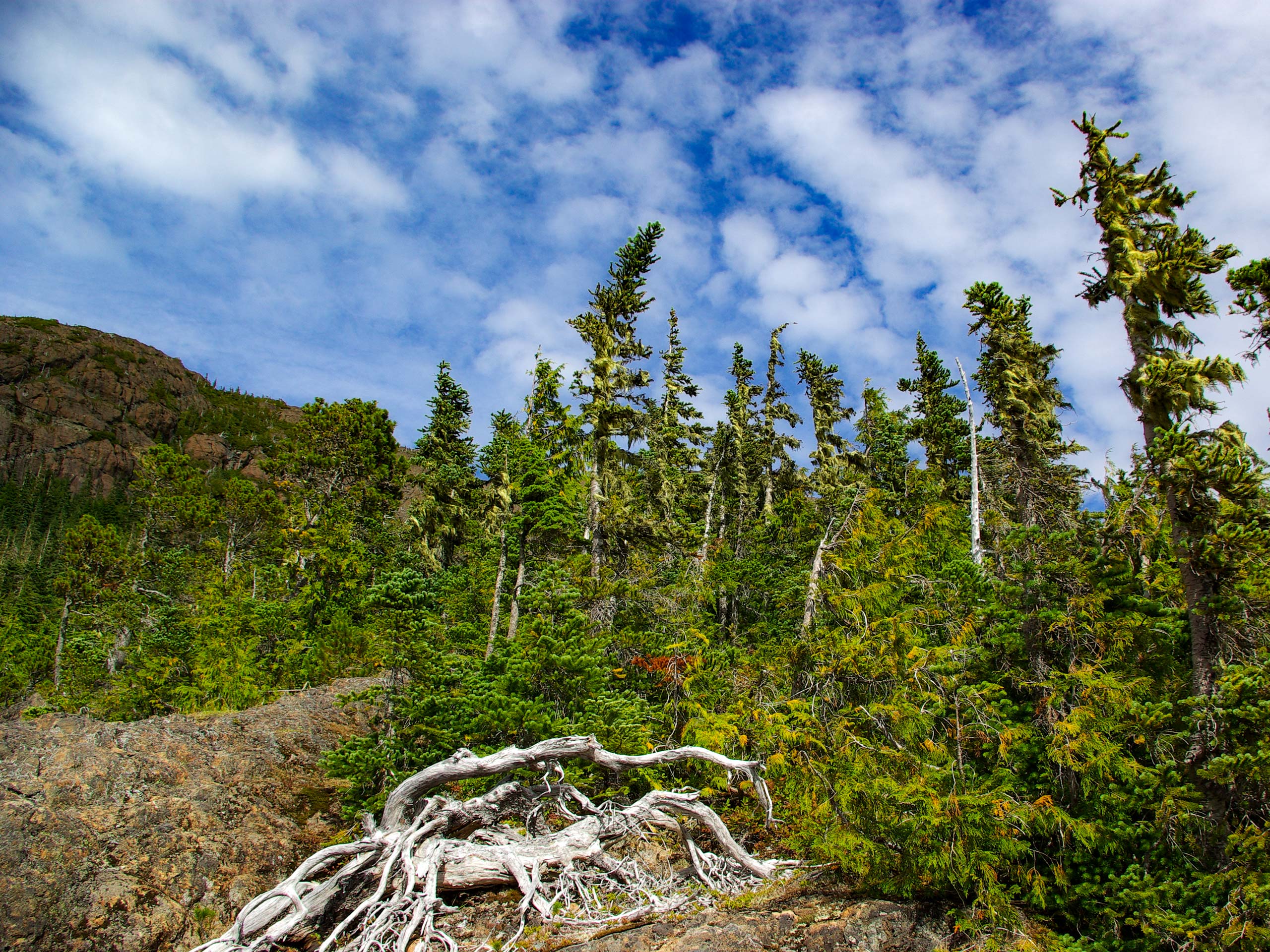 Mount Cokely