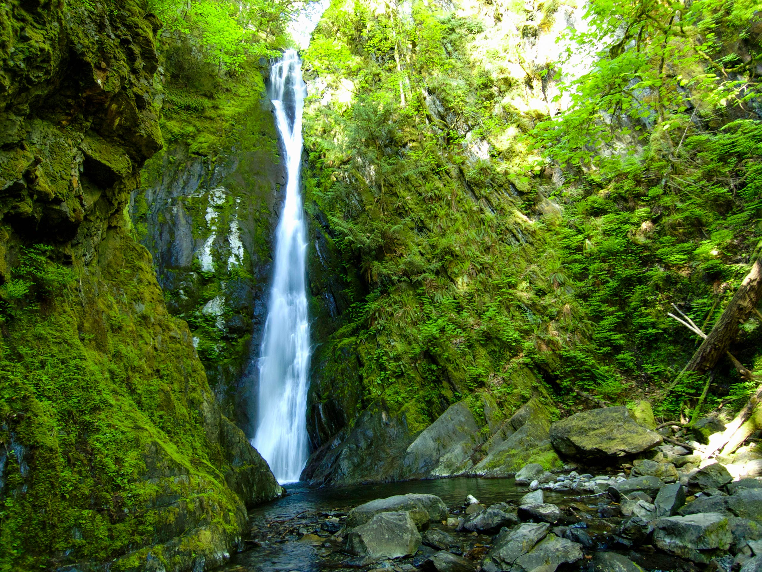 Goldstream Falls