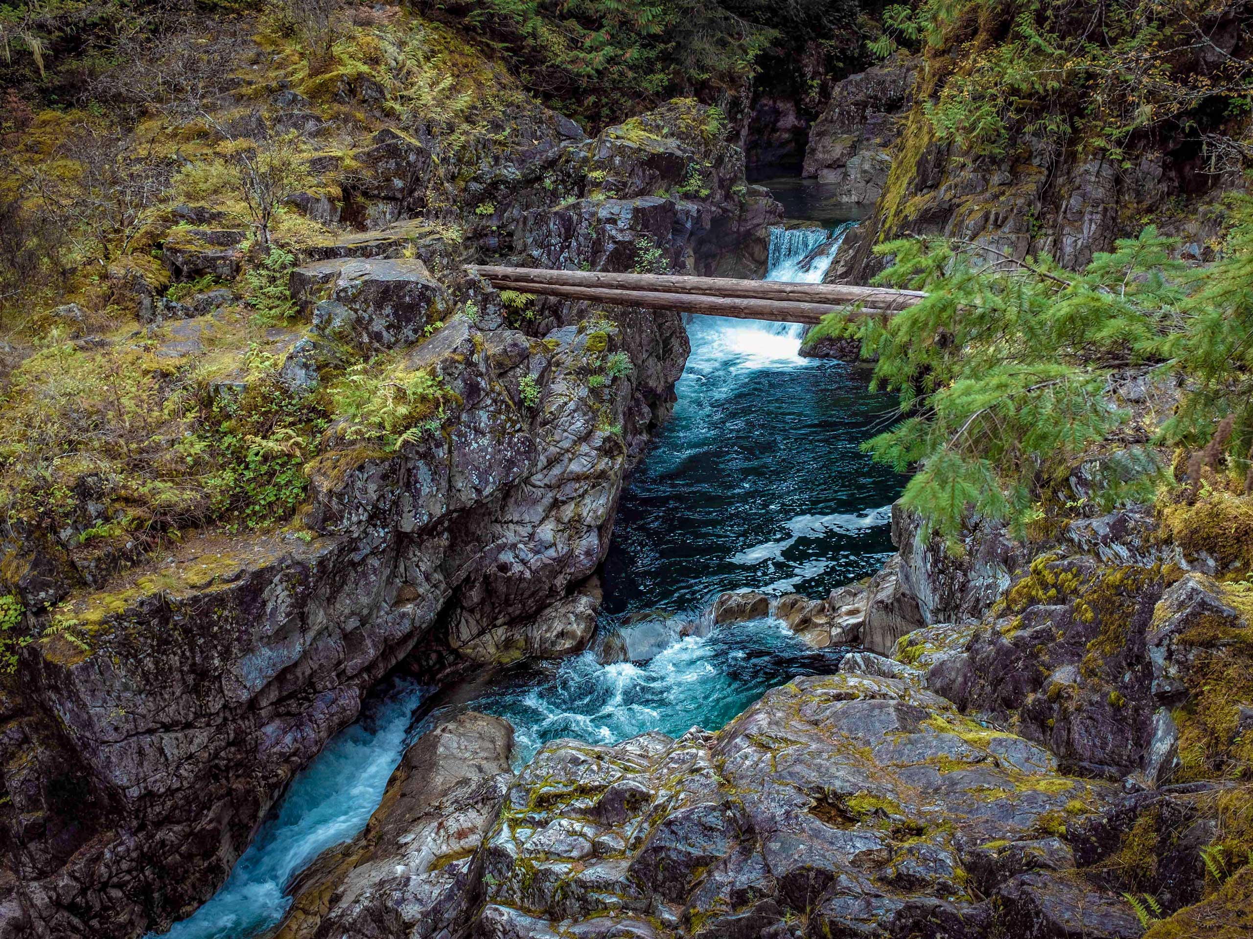 Little Qualicum Falls Trail