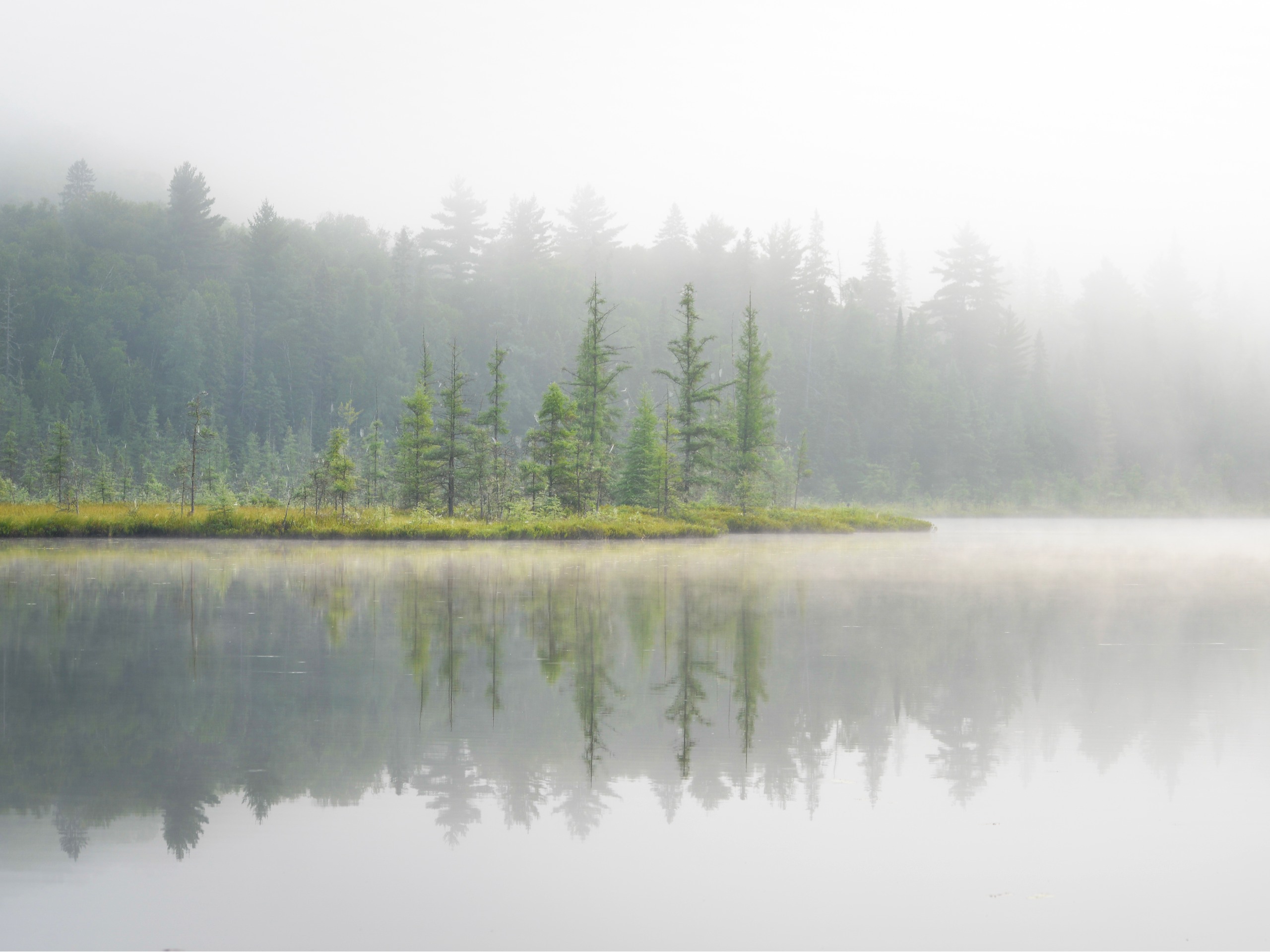 Mizzy Lake Trail