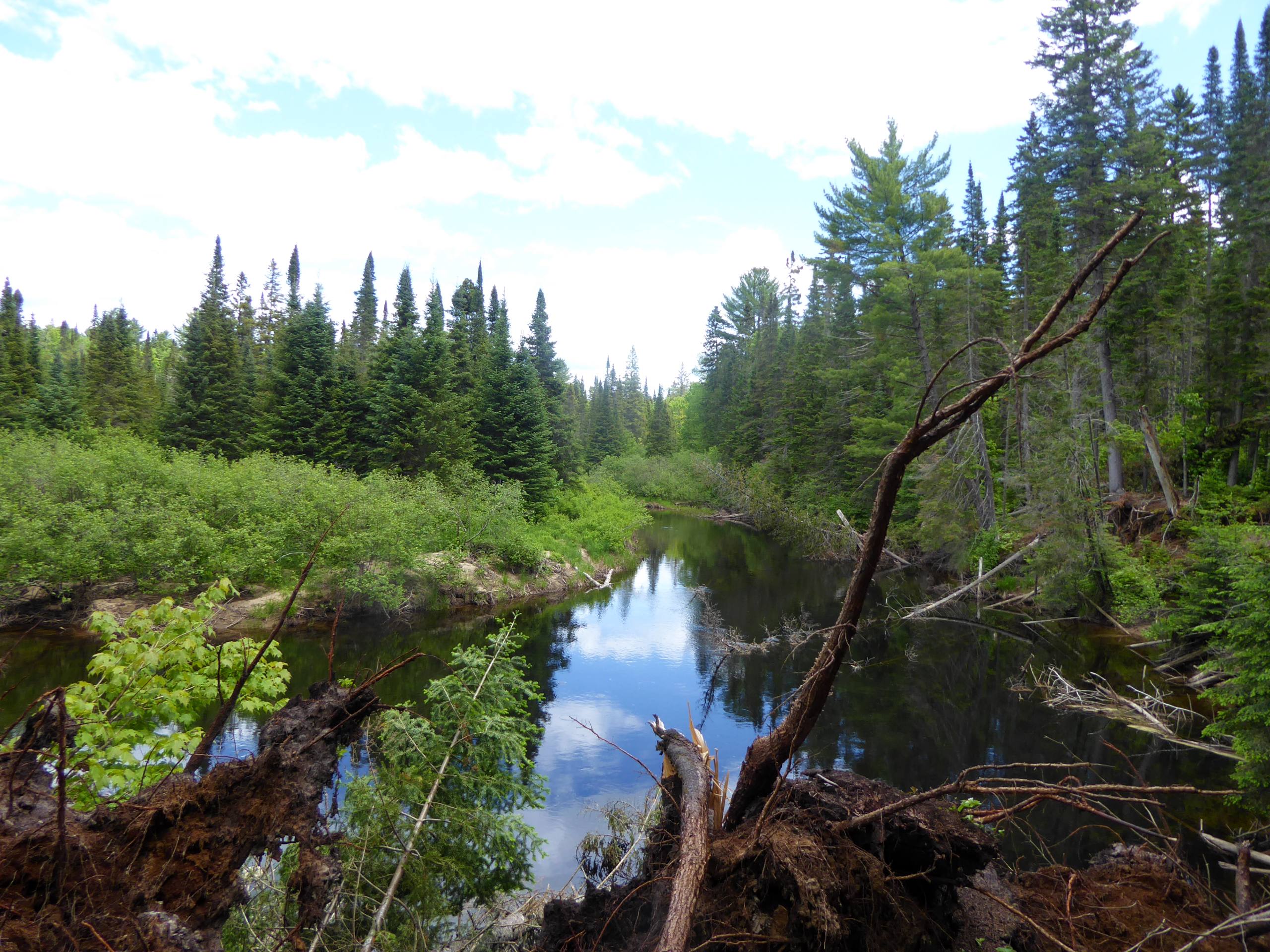 Whiskey Rapids Trail