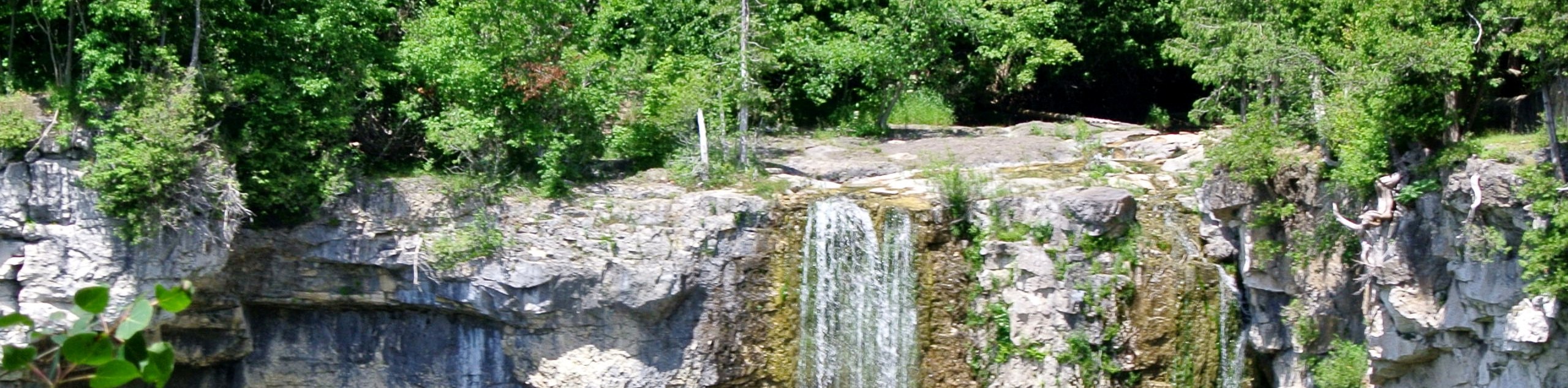 Eugenia Falls and Hoggs Falls Loop Hike