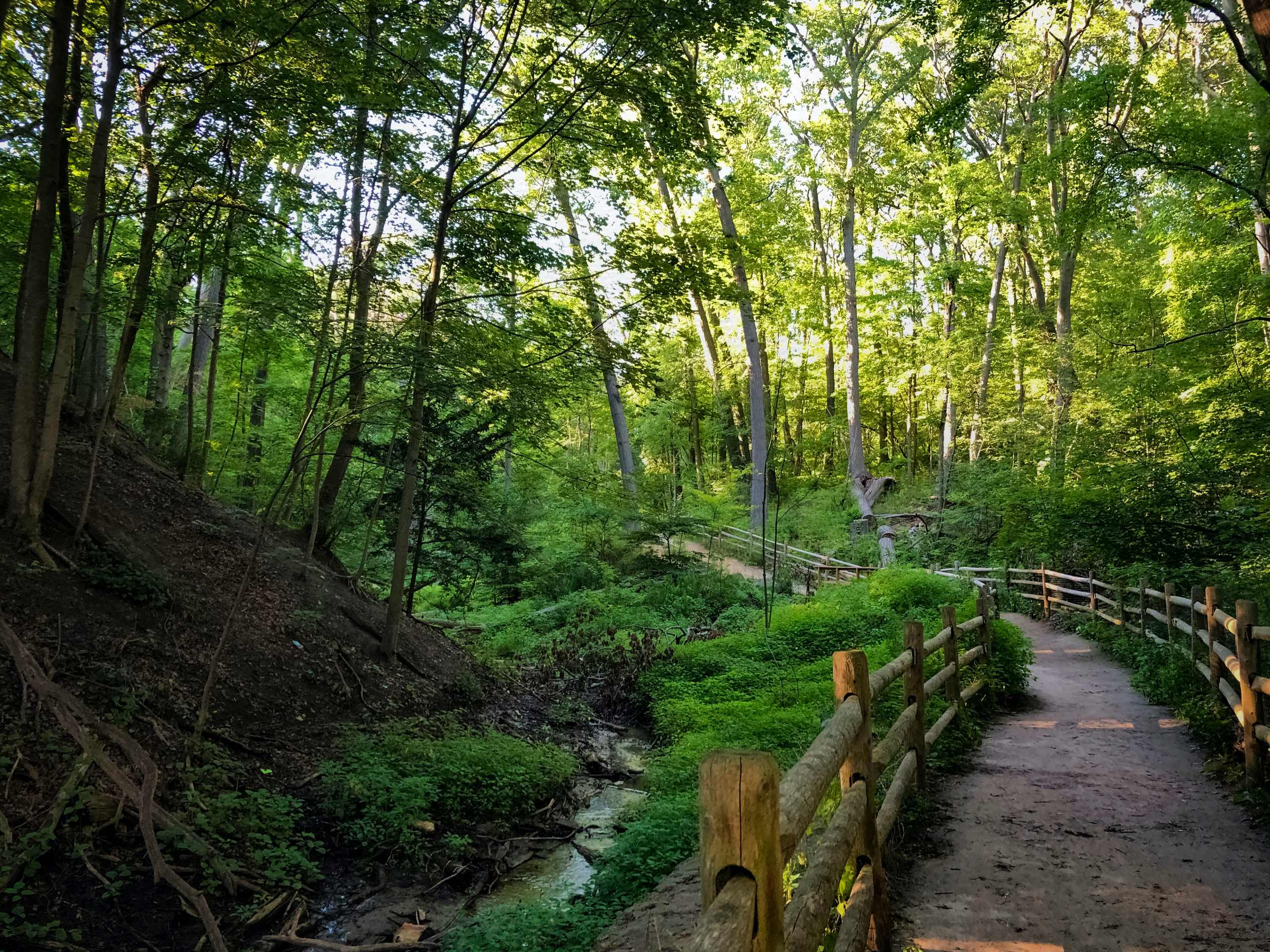 Glen Stewart Park Trail