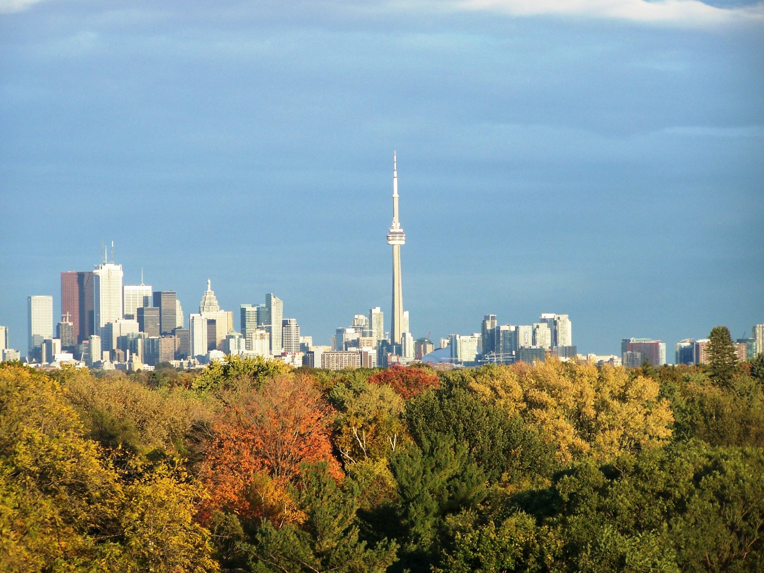 High Park Trail