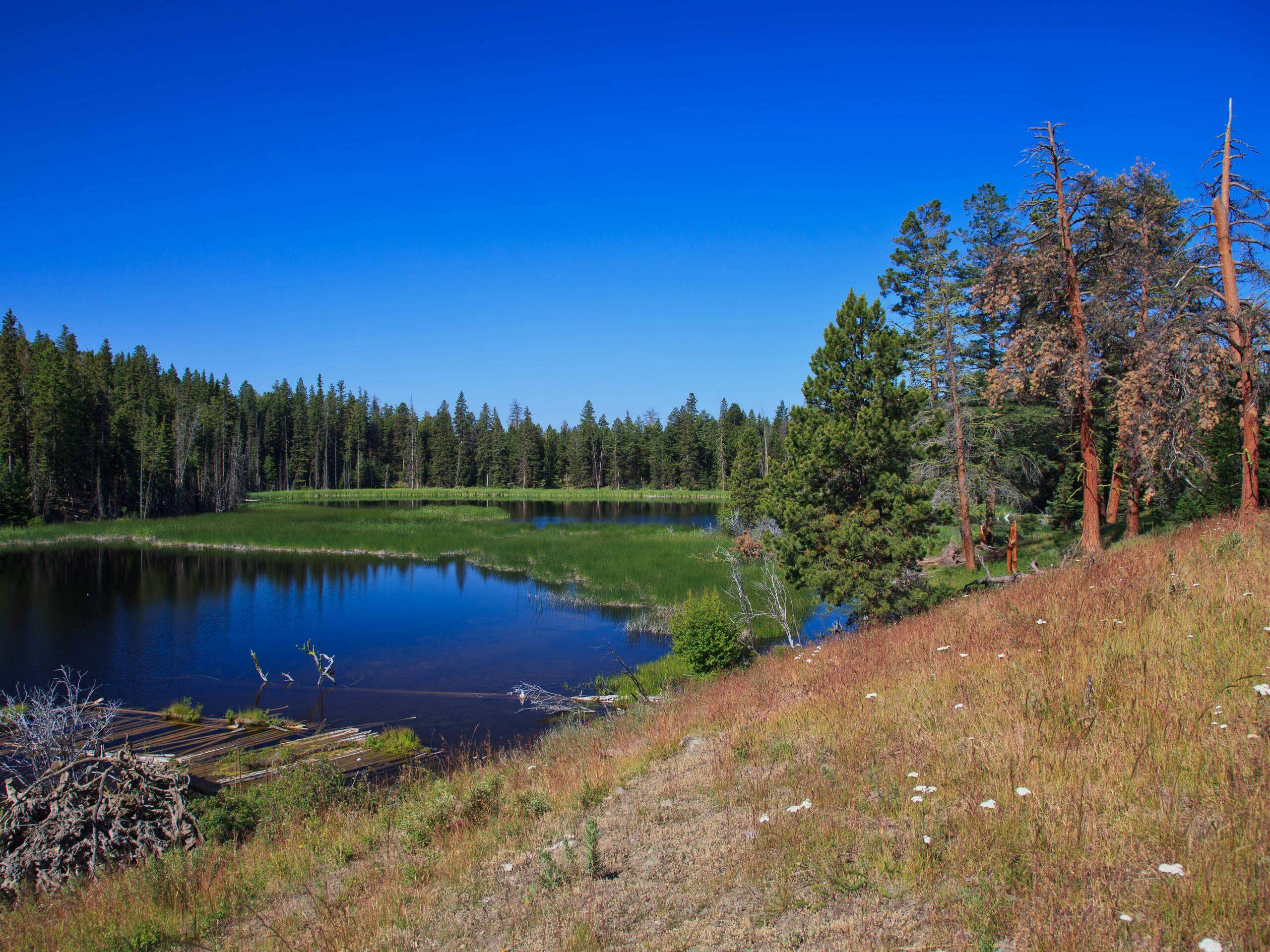 Lundbom Lake Loop