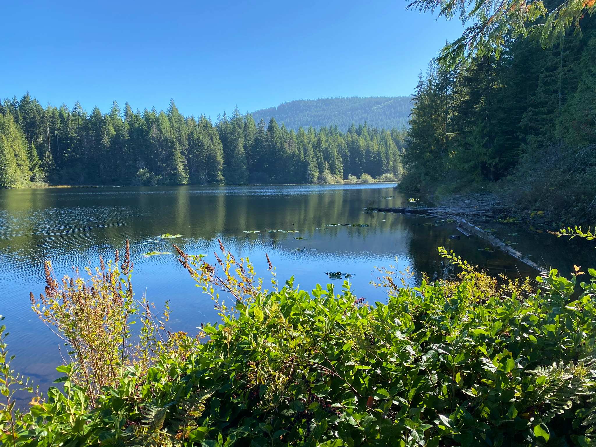 Heart Lake Trail