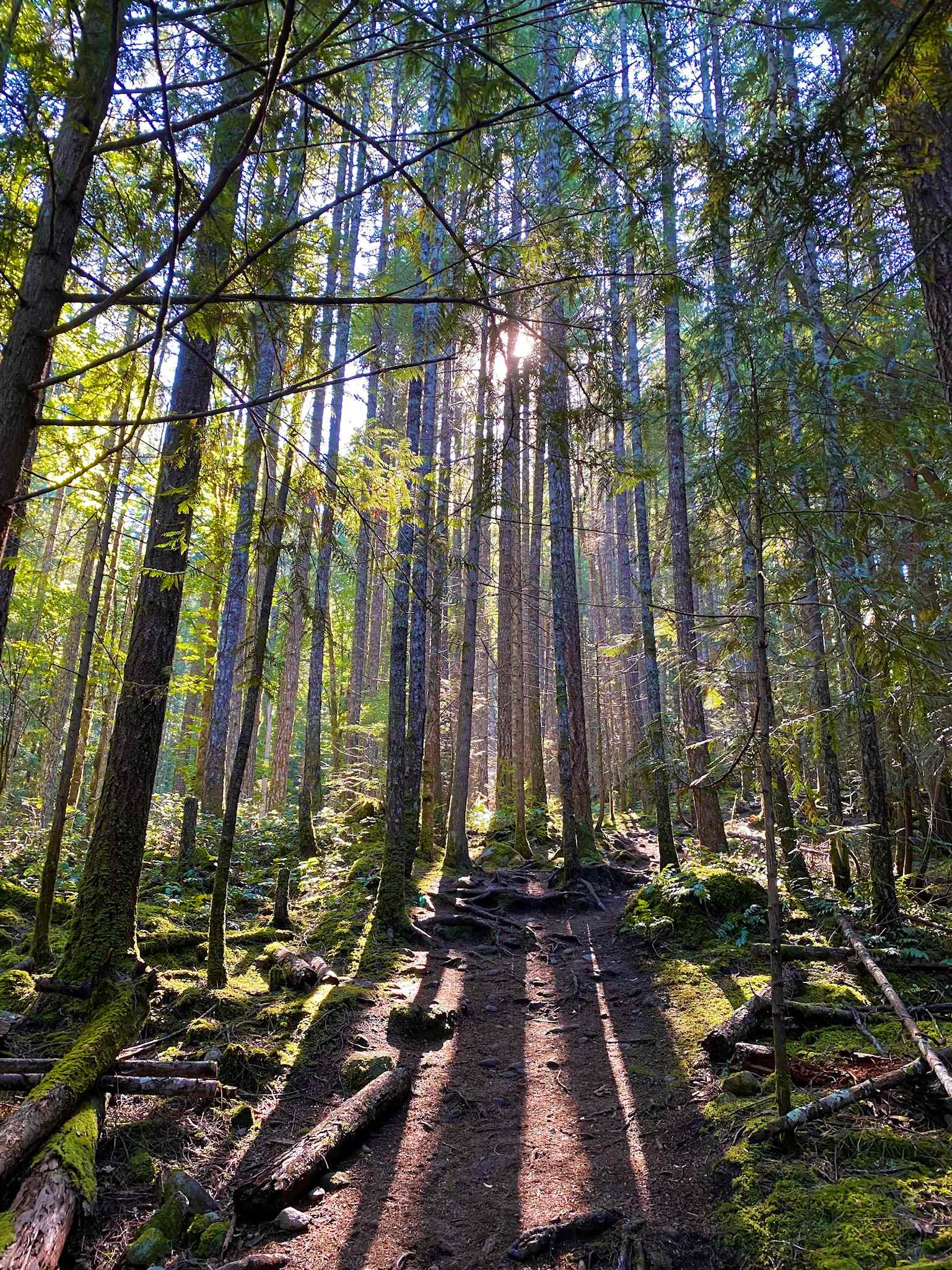 Heart Lake Trail