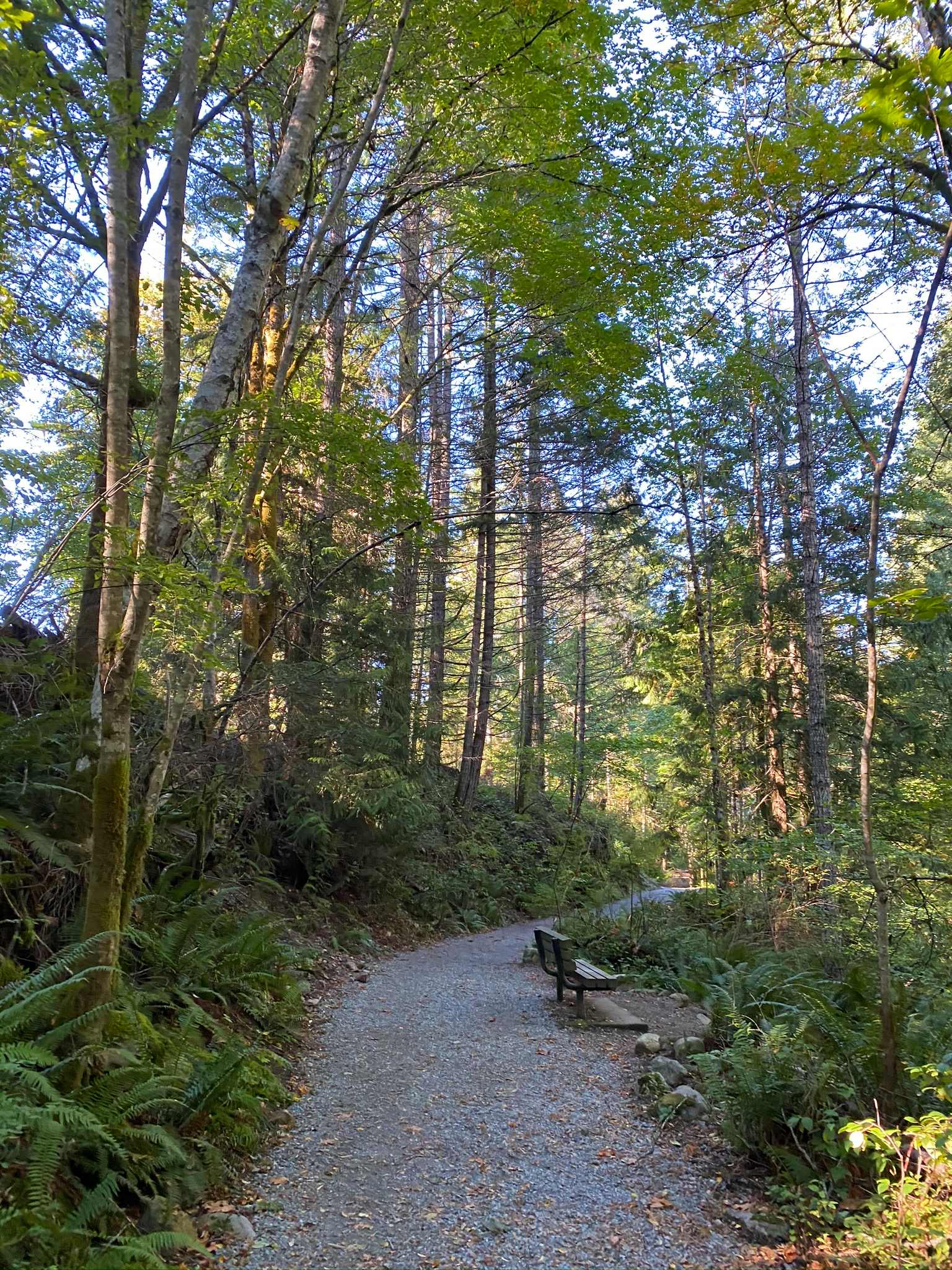 Heart Lake Trail