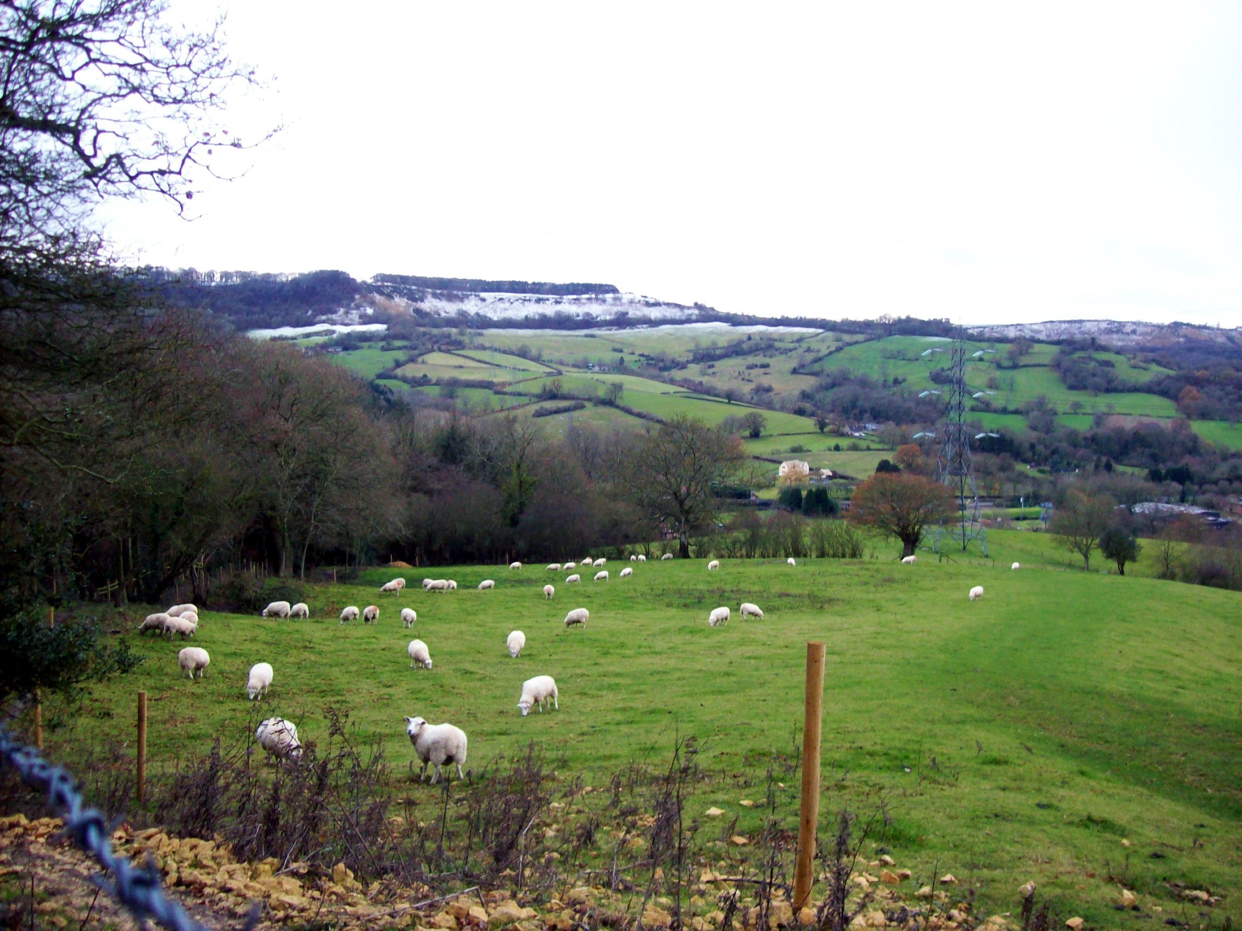 Cleeve Common and Belas Knap Walk