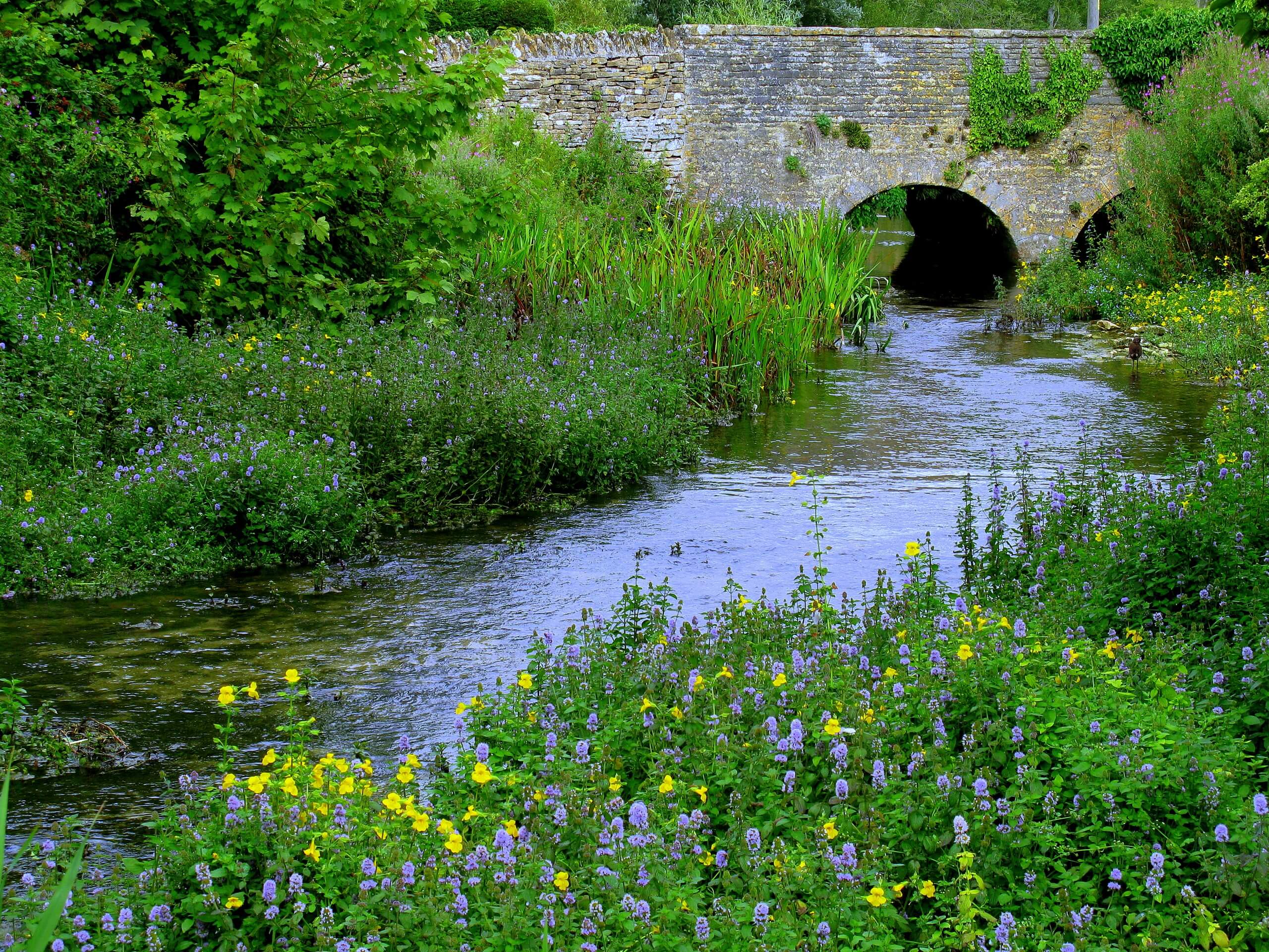 Eastleach Martin and Fyfield Walk