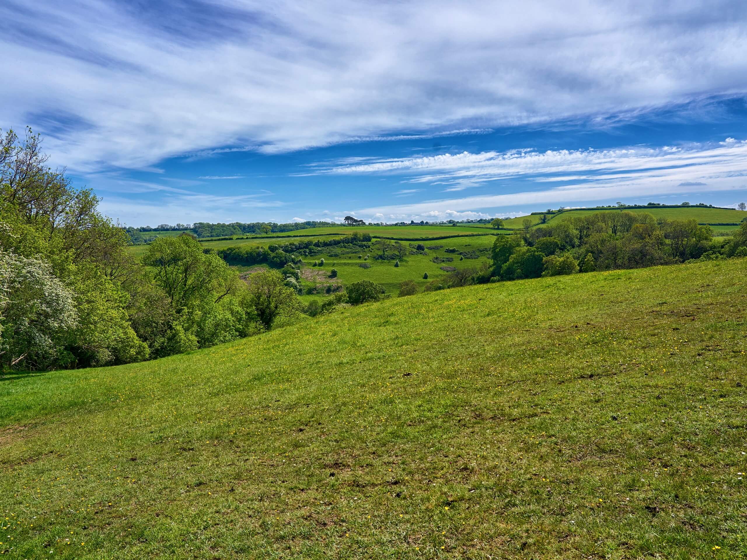 Monarch Way Circular Walk