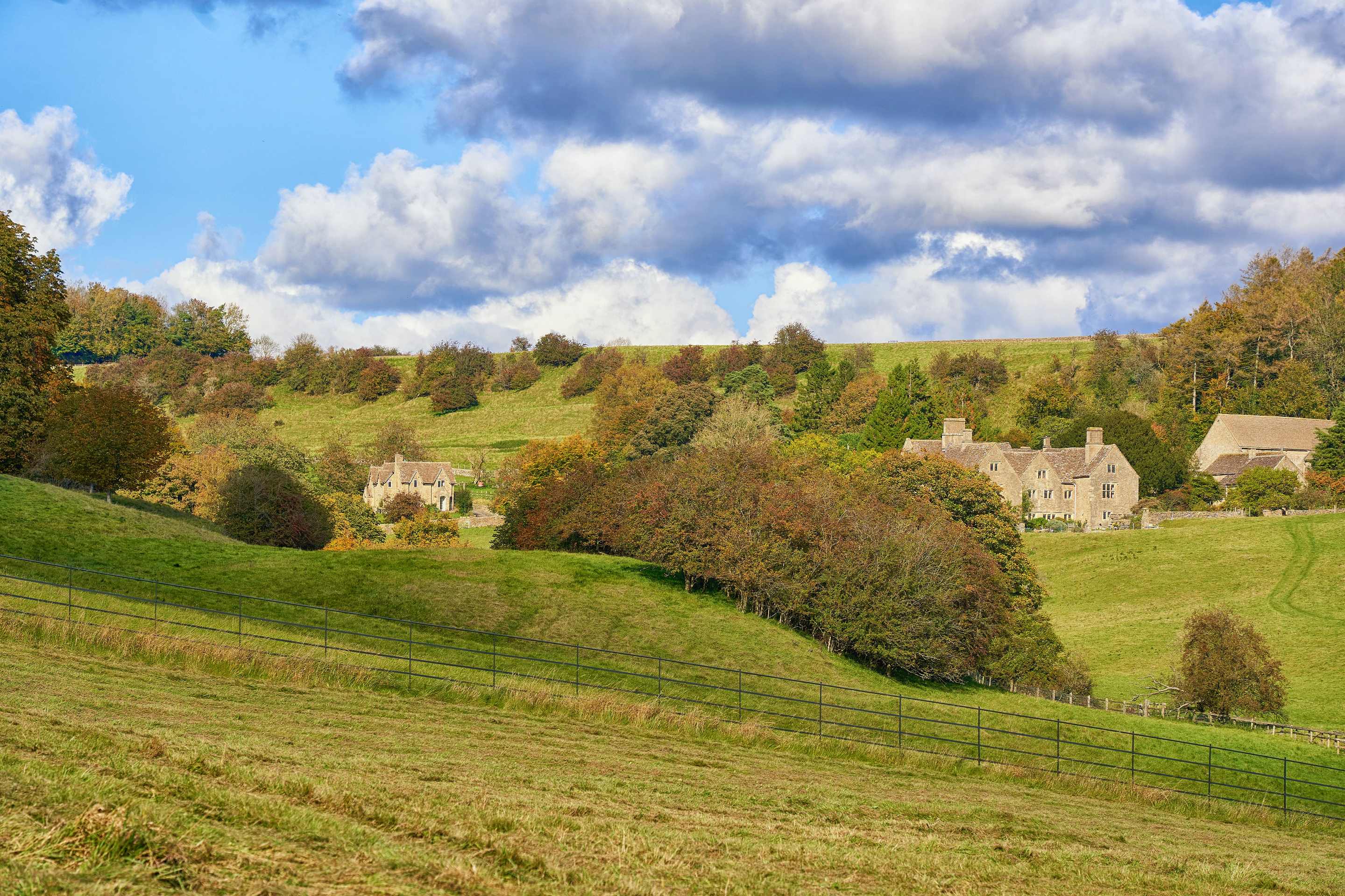 Ozleworth Park Walk