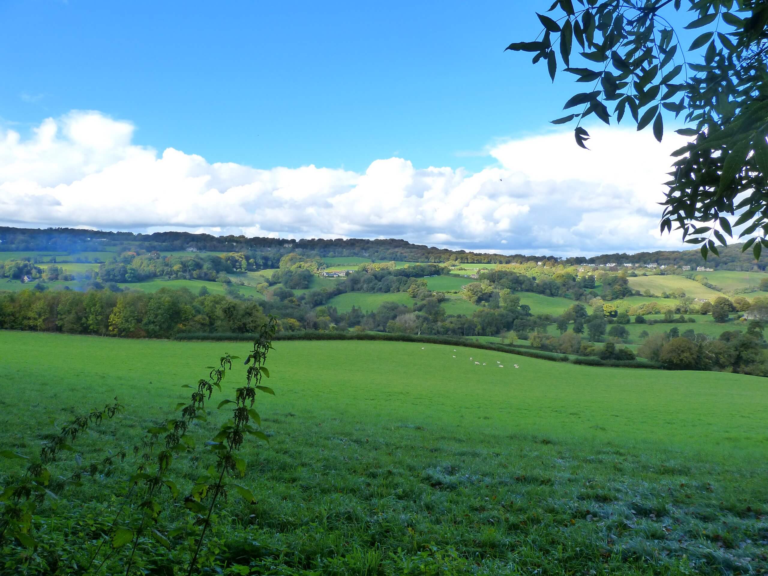 Painswick and Edge Circular Walk