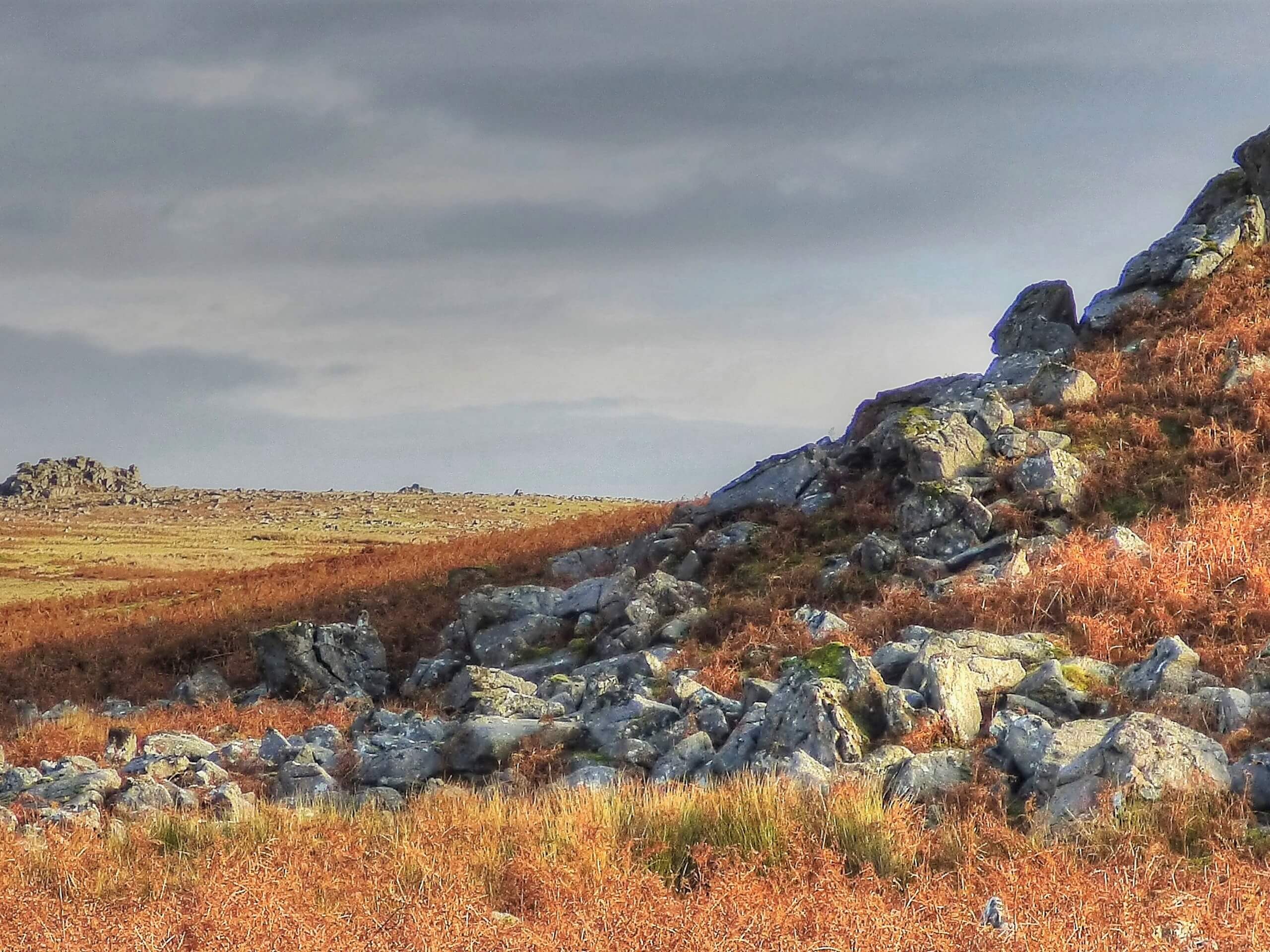 Cadover Bridge to Shaugh Bridge Circular Walk - Dartmoor NP