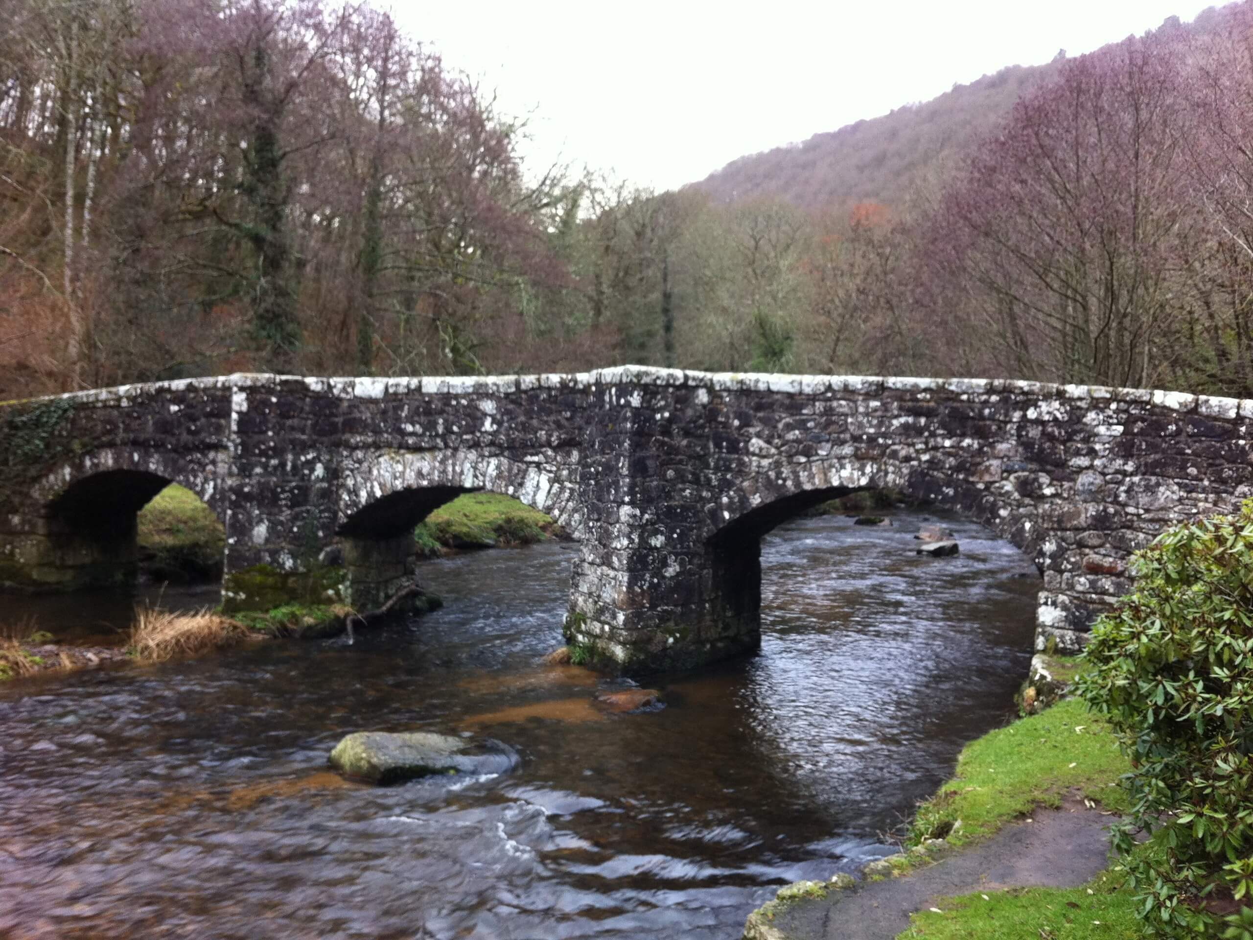 Fisherman’s Path to Fingle Bridge