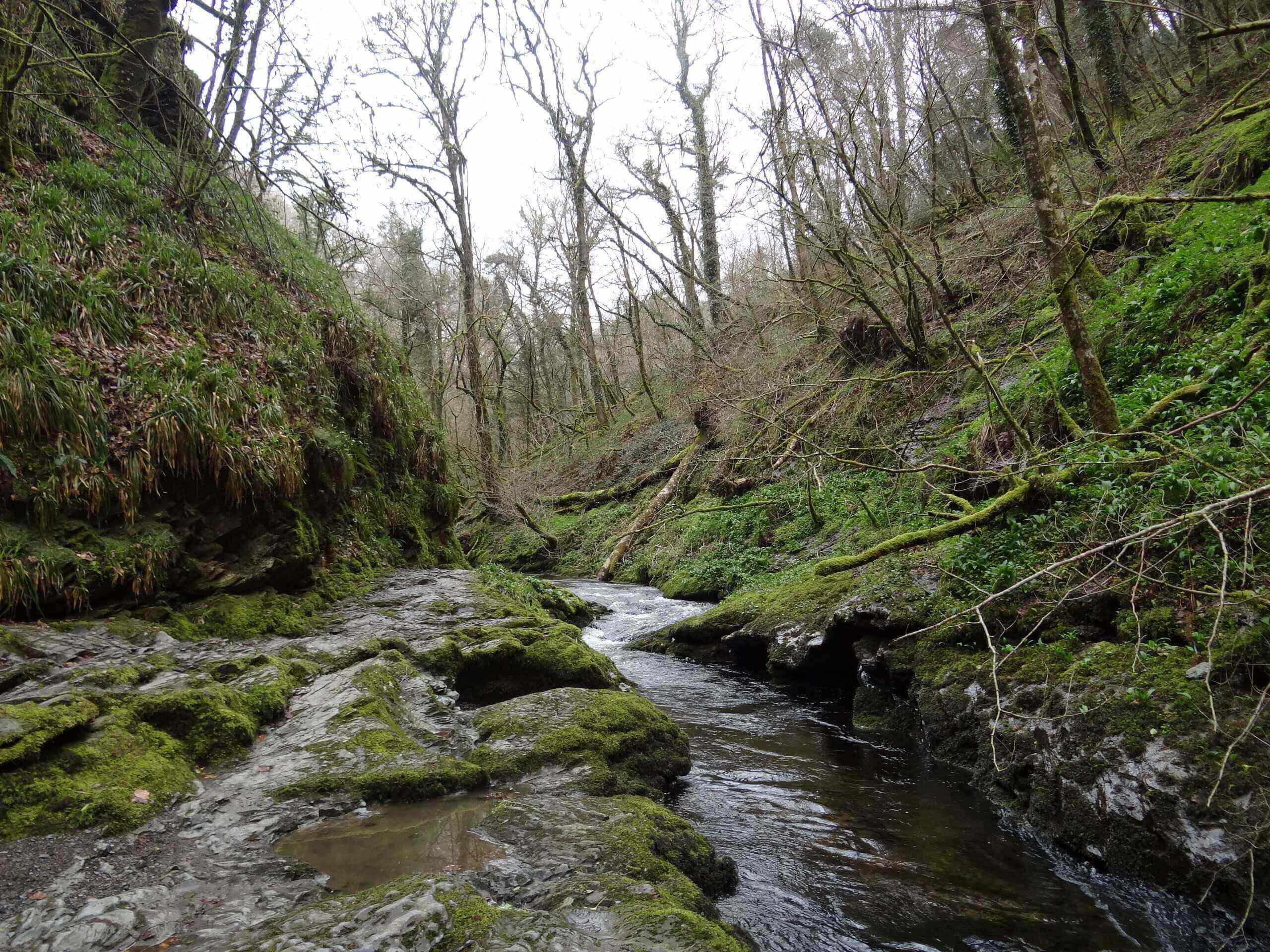 Lydford Gorge Walk