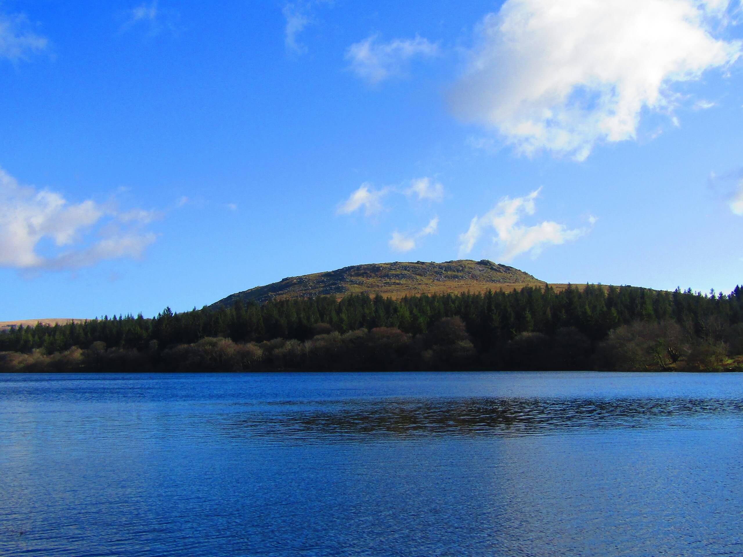 Burrator Reservoir Circular Walk