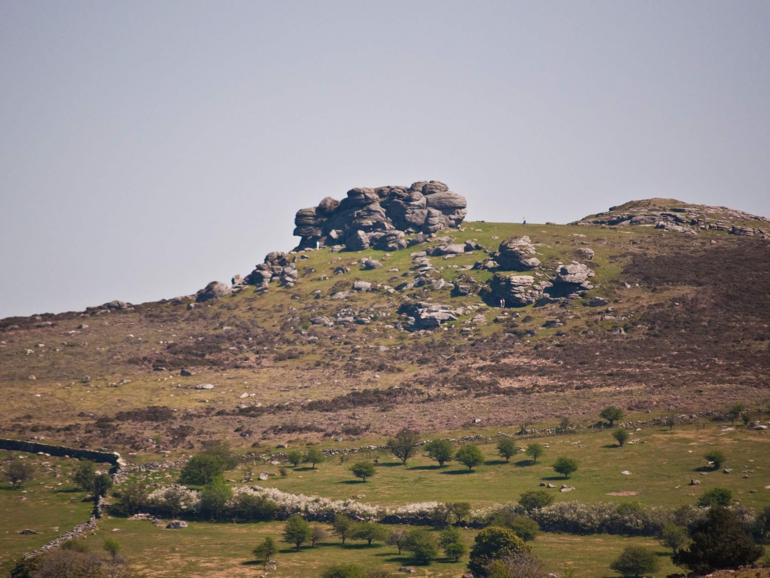 Saddle Tor and Hound Tor Circular Walk