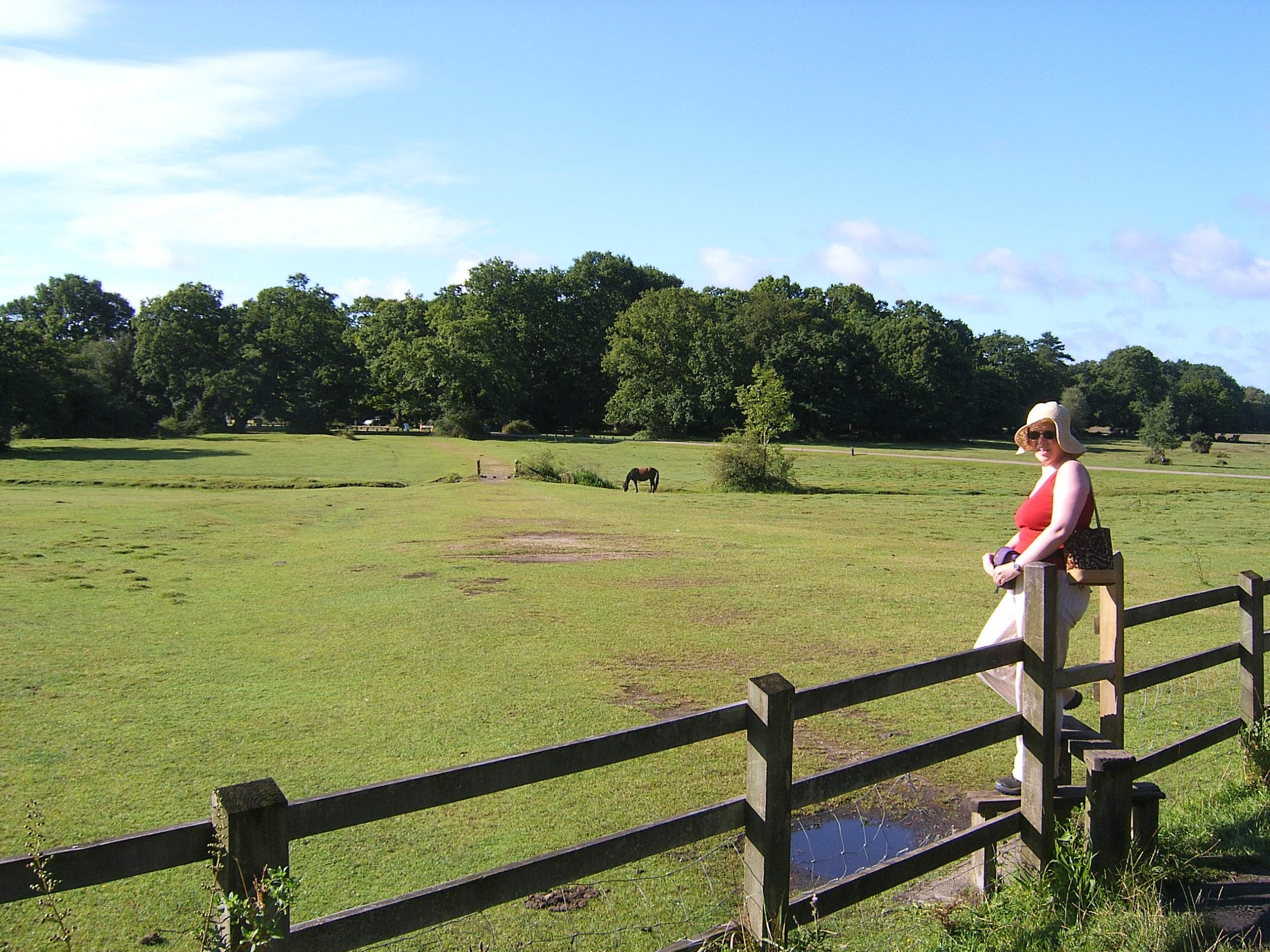 Ashurst Circular Walk