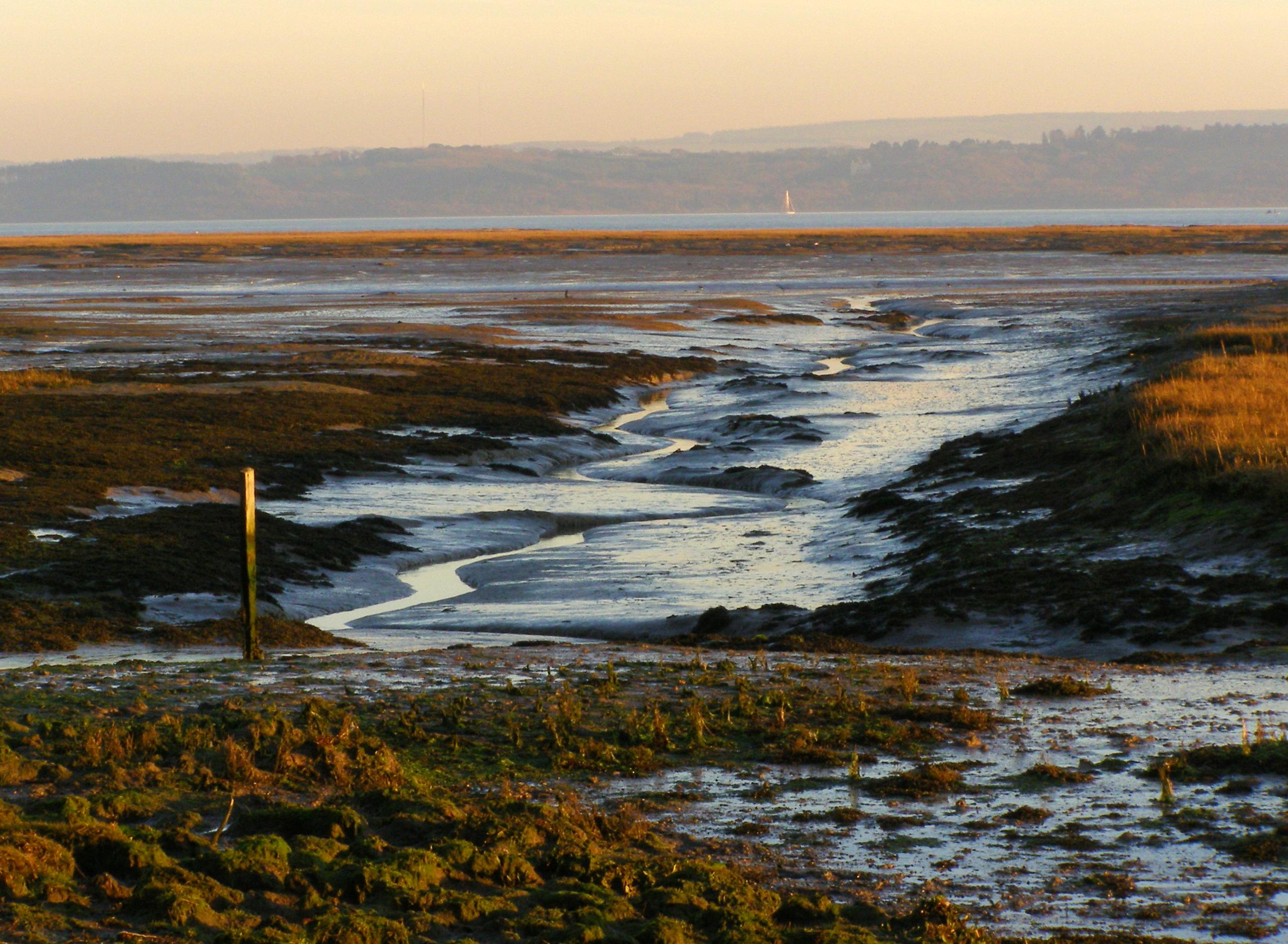 Boldre Village Walk