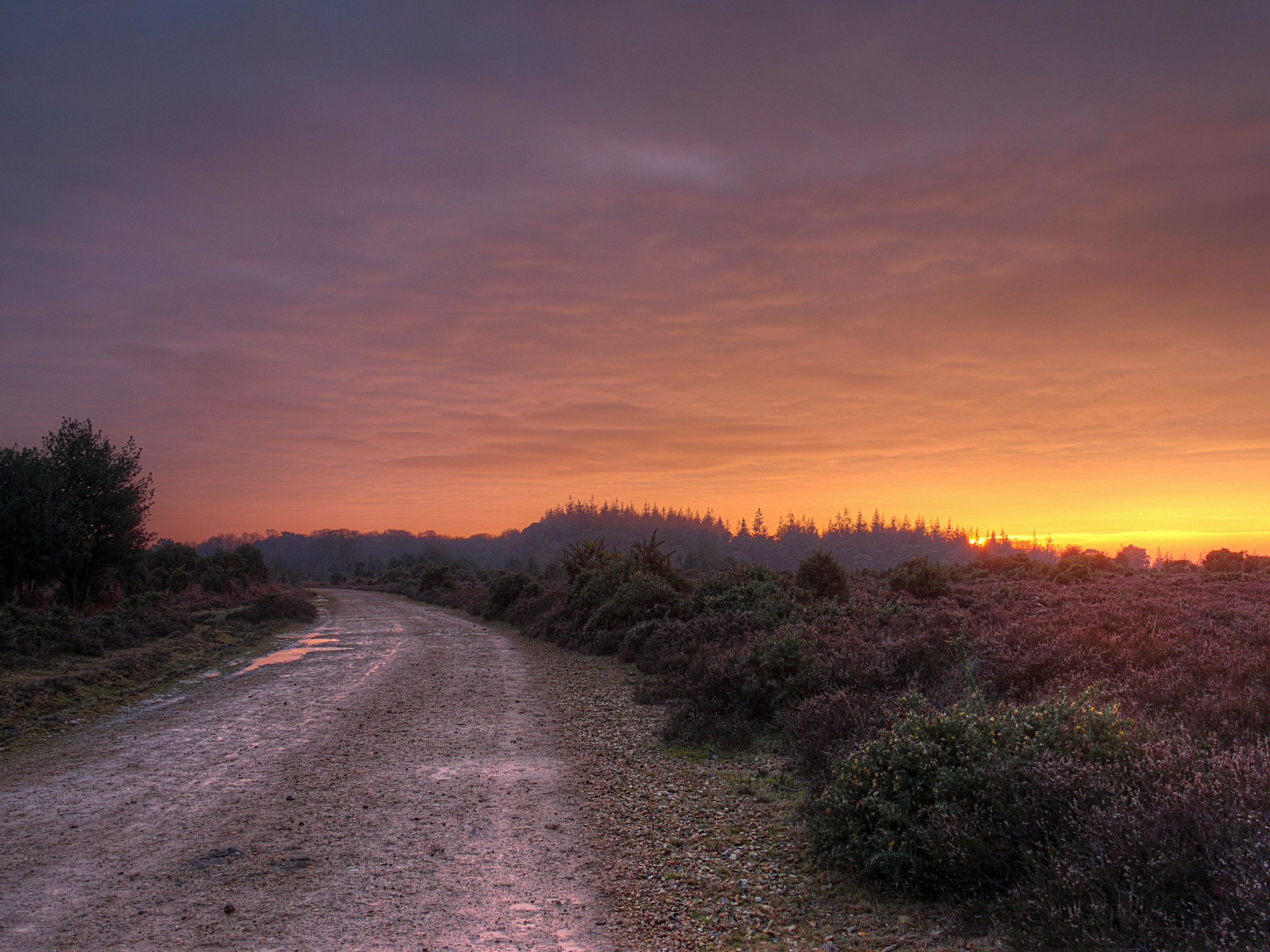 Frogham to Fritham Walk