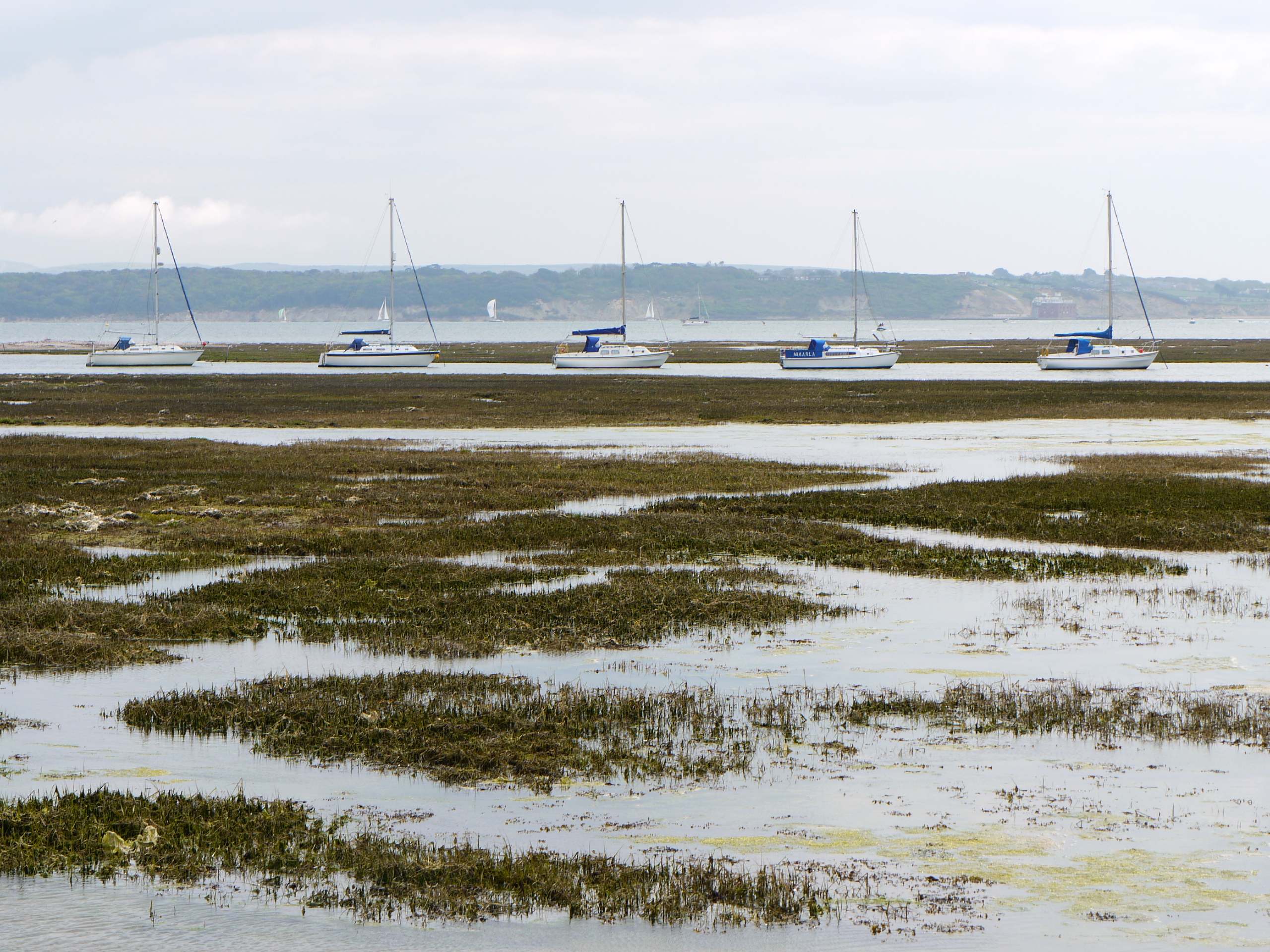 Keyhaven Marshes Circular Walk