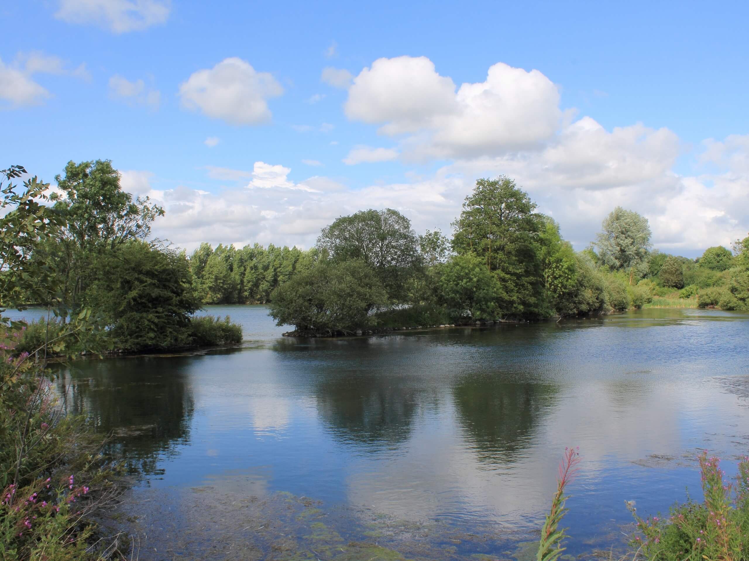 Marfield Nature Reserve Walk