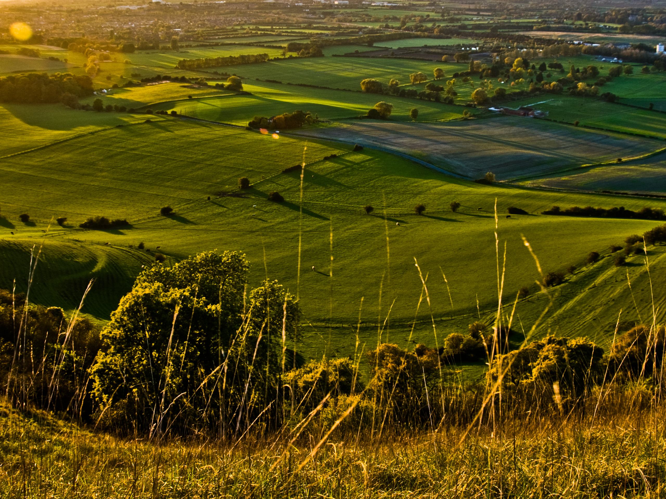 Box Ditteridge and Colerne Circular Walk