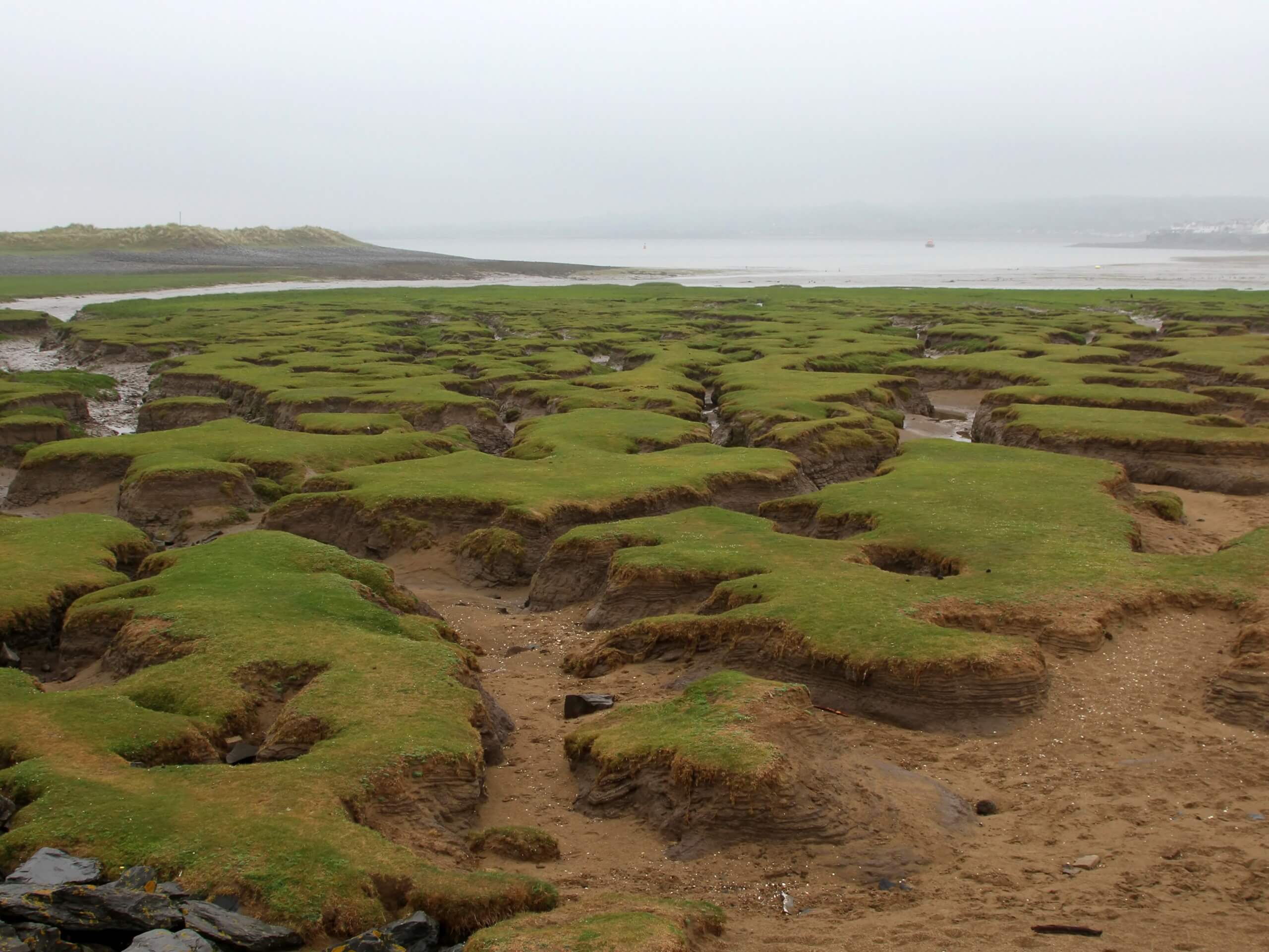 Northam Burrows Circular Walk