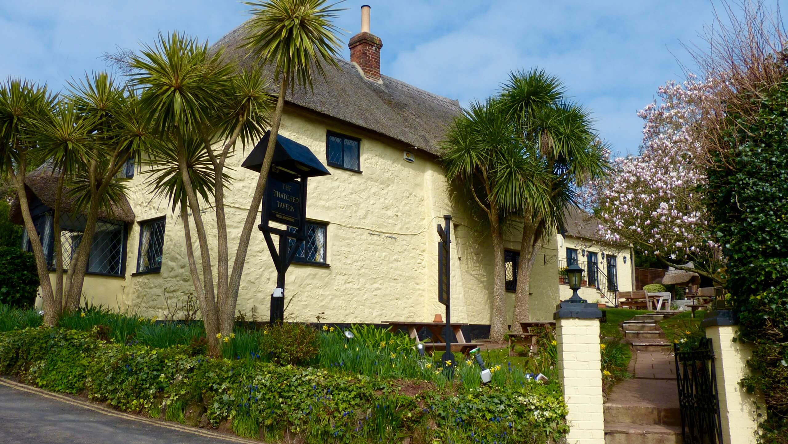 Thatched Tavern and South West Coast Path
