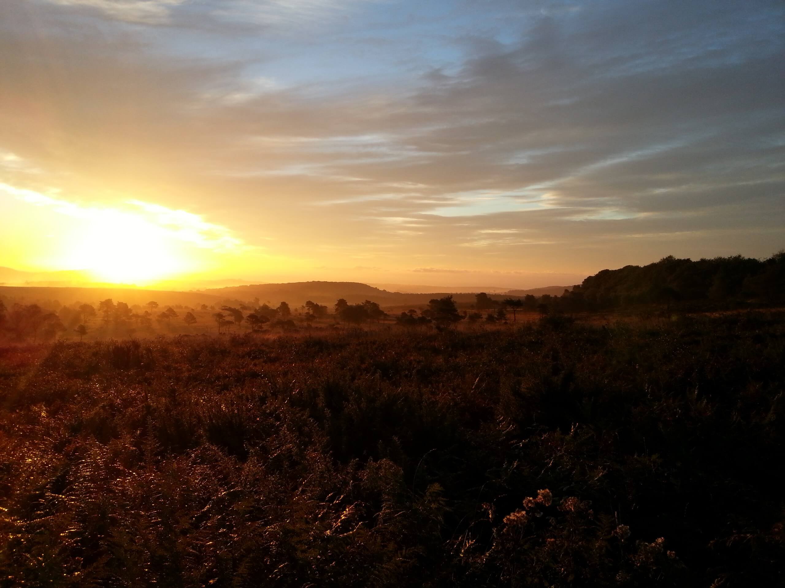 Woodbury Common Loop