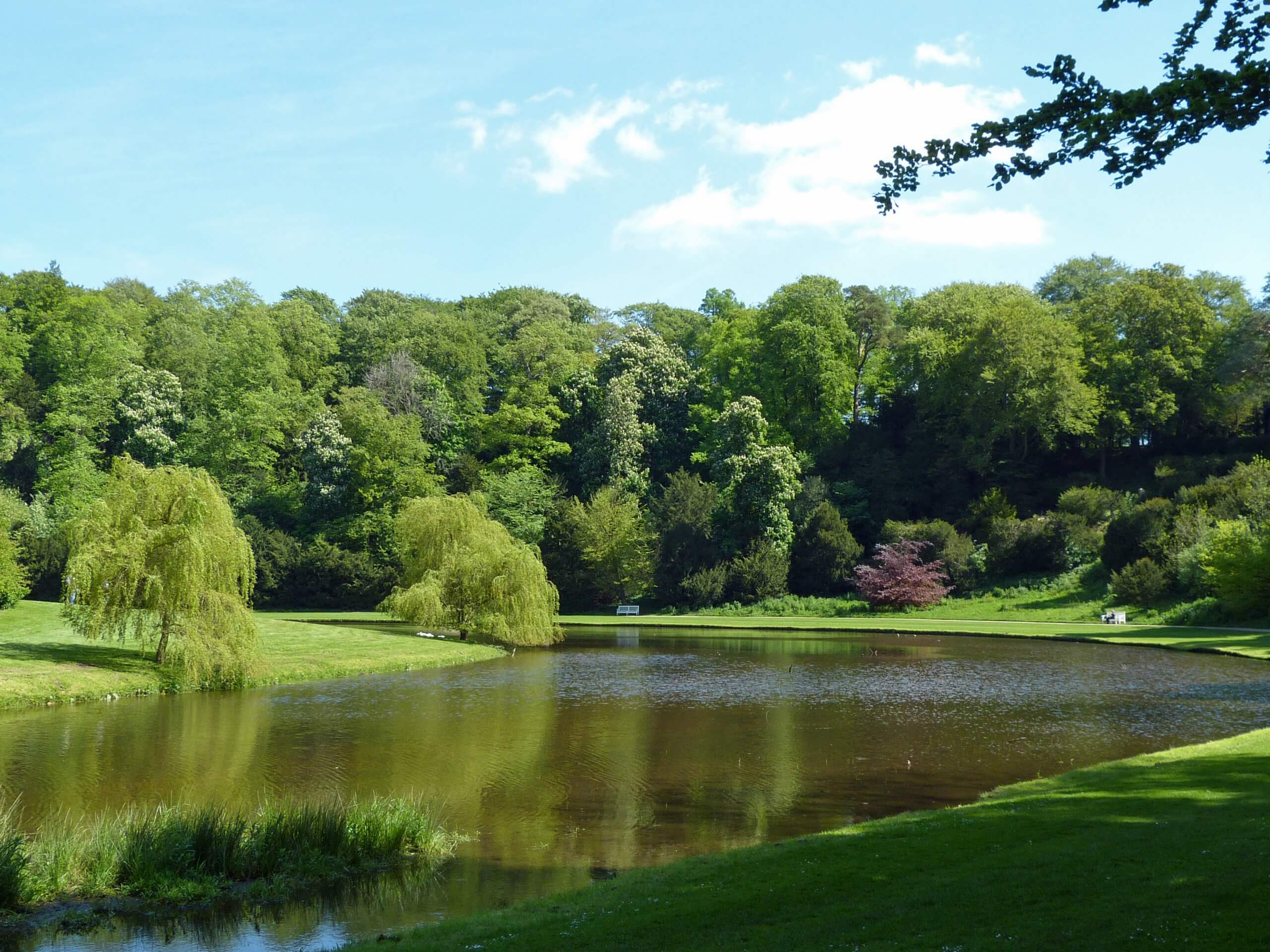 Studley Royal Walk