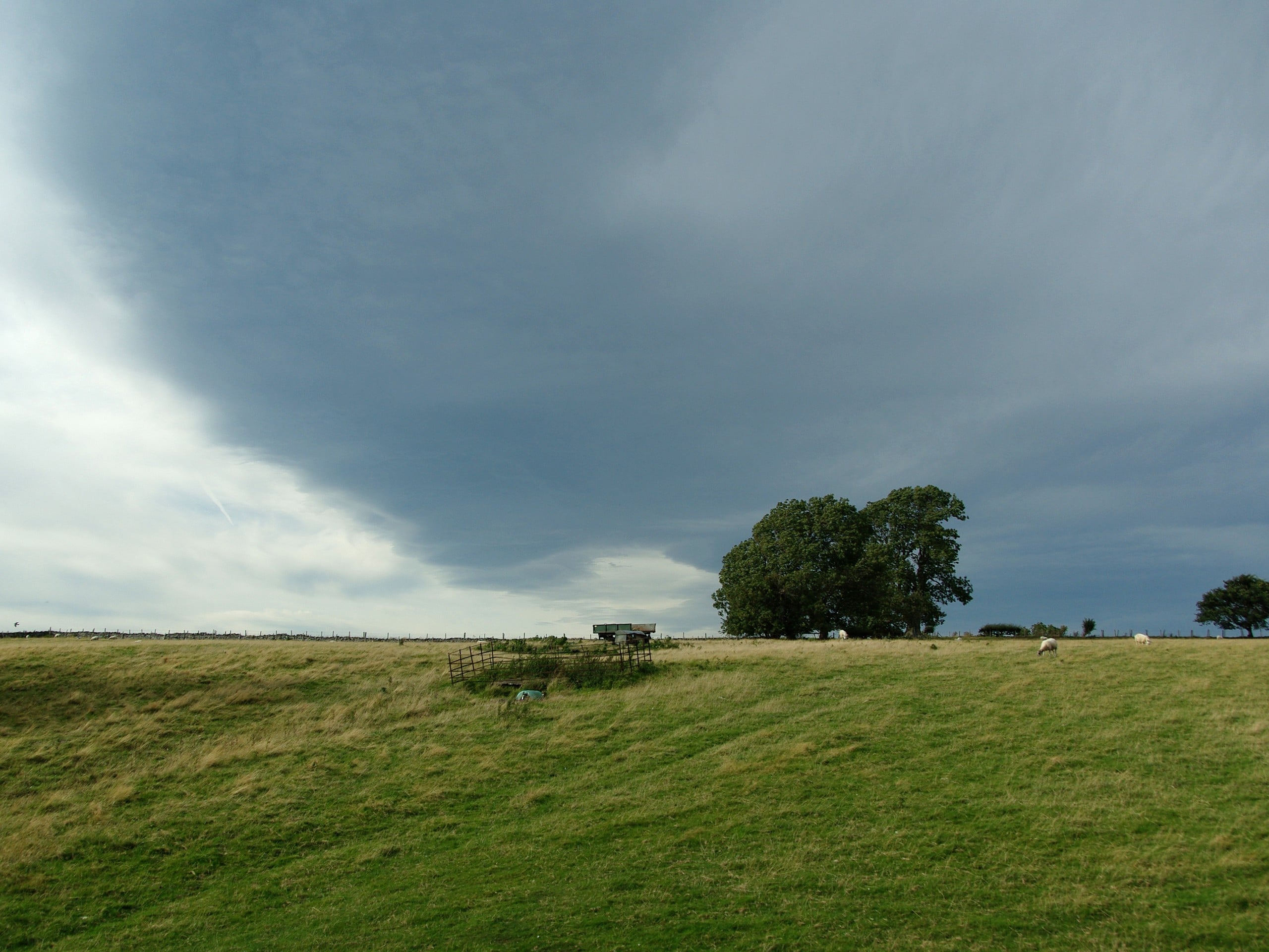 Leyburn and Harmby Circular Walk