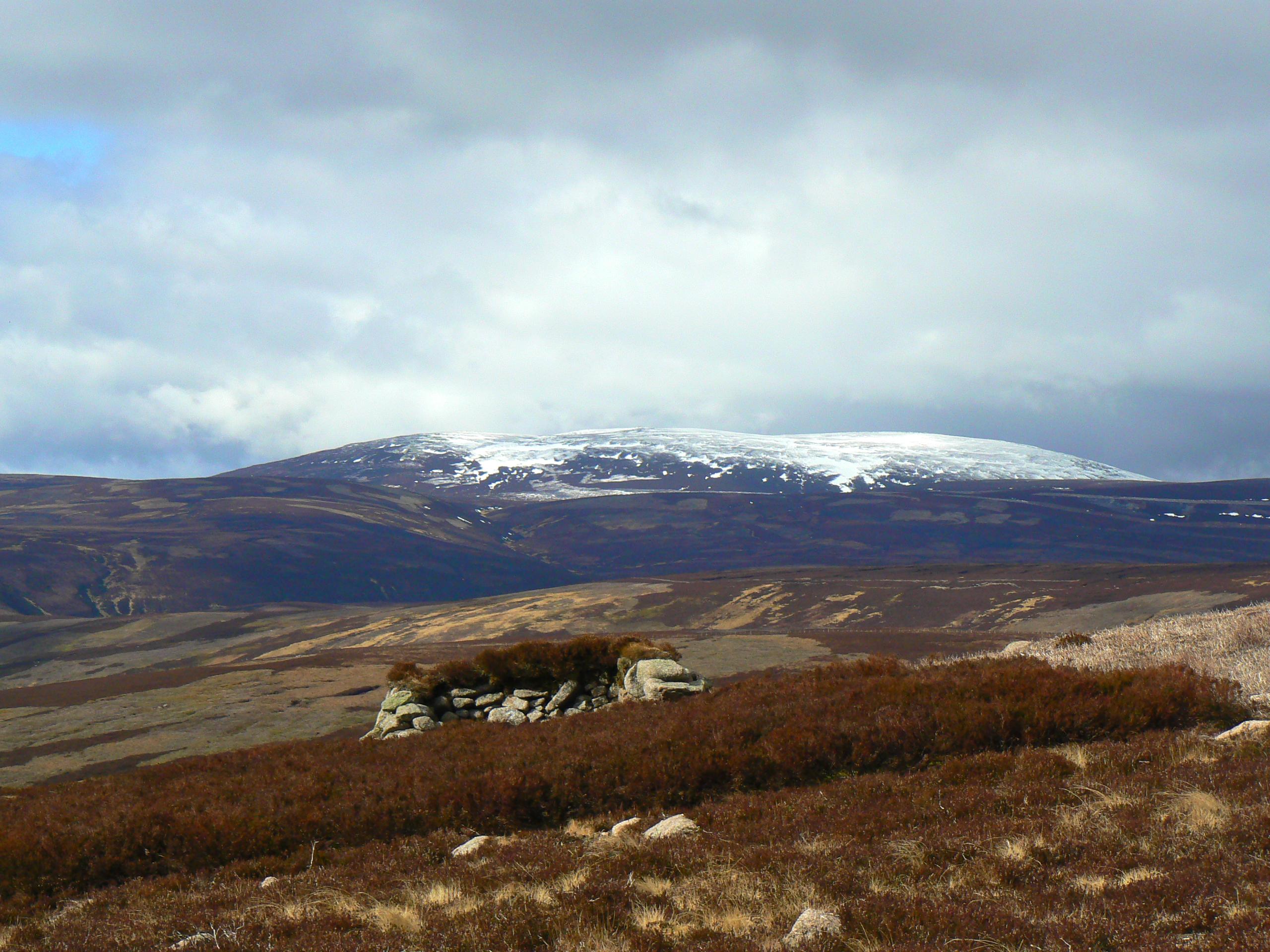 Lary to Morven Walk