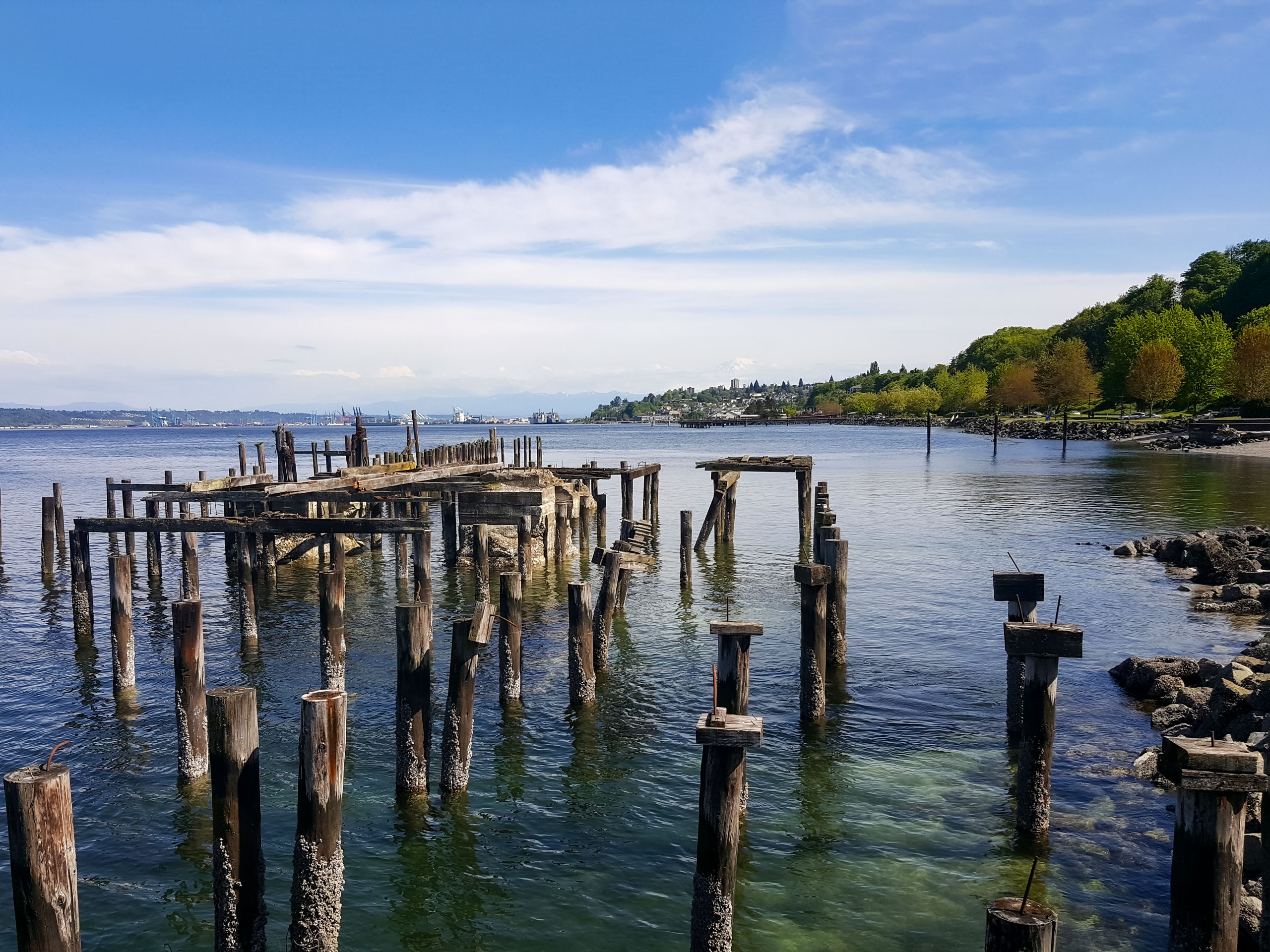 Remains of old pier on the Pacific coast of Tacoma