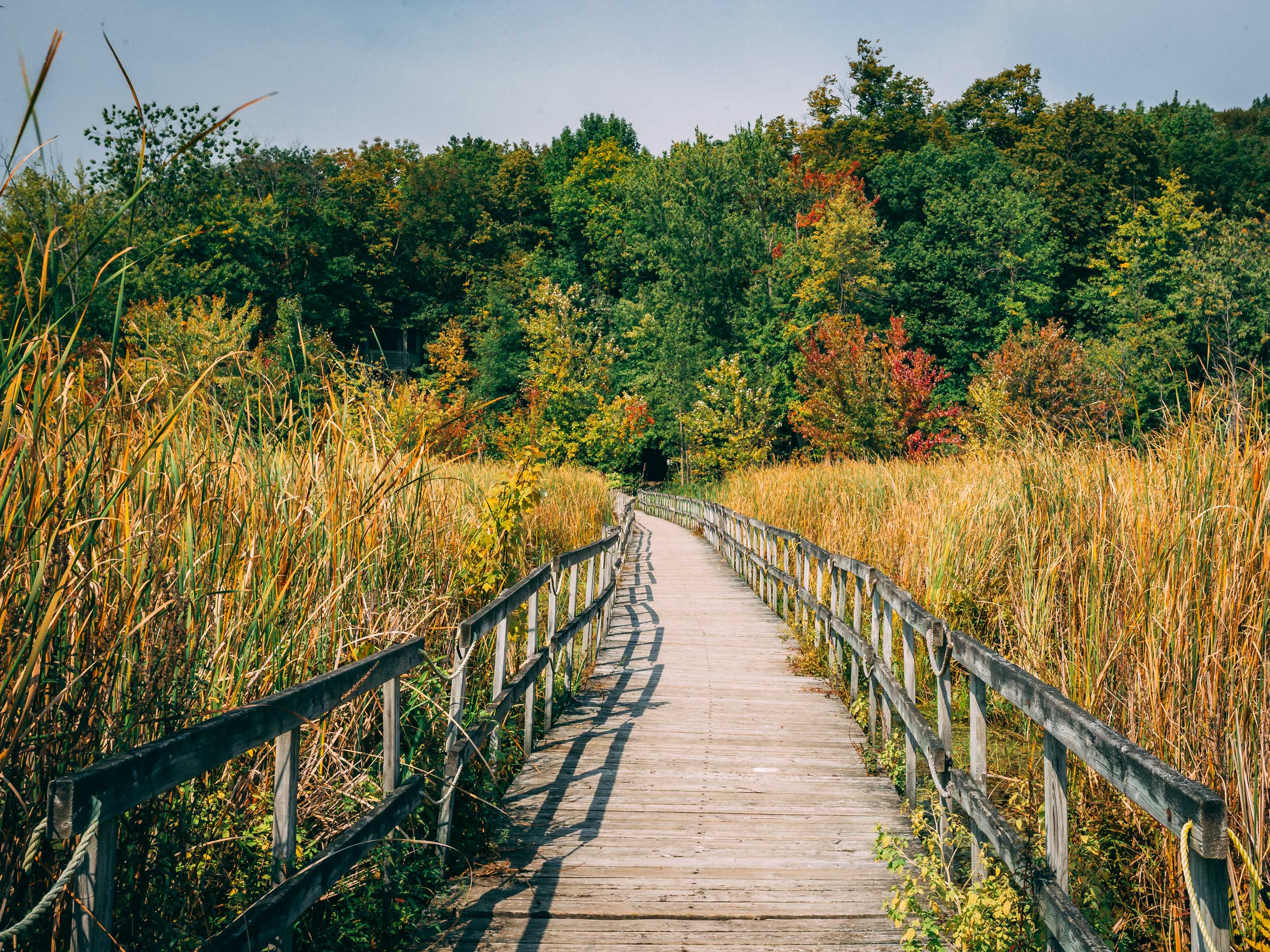 Parc national d'Oka, Oka, Canada