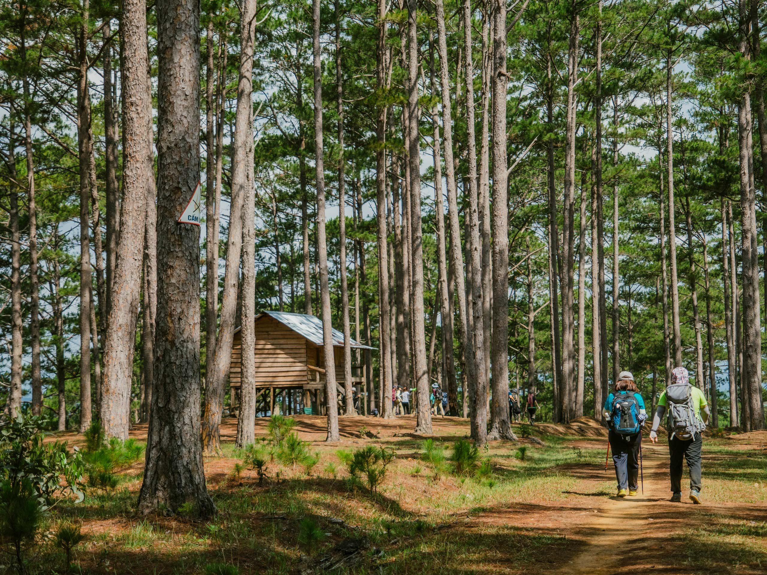 Couple with backpacks walking through the forest toward cabin