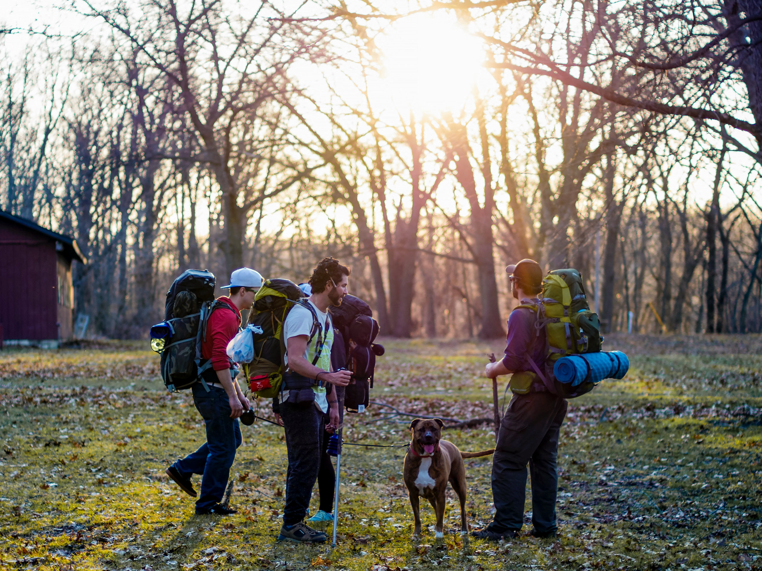 Friends with backpacks camping gear hiking with dogs