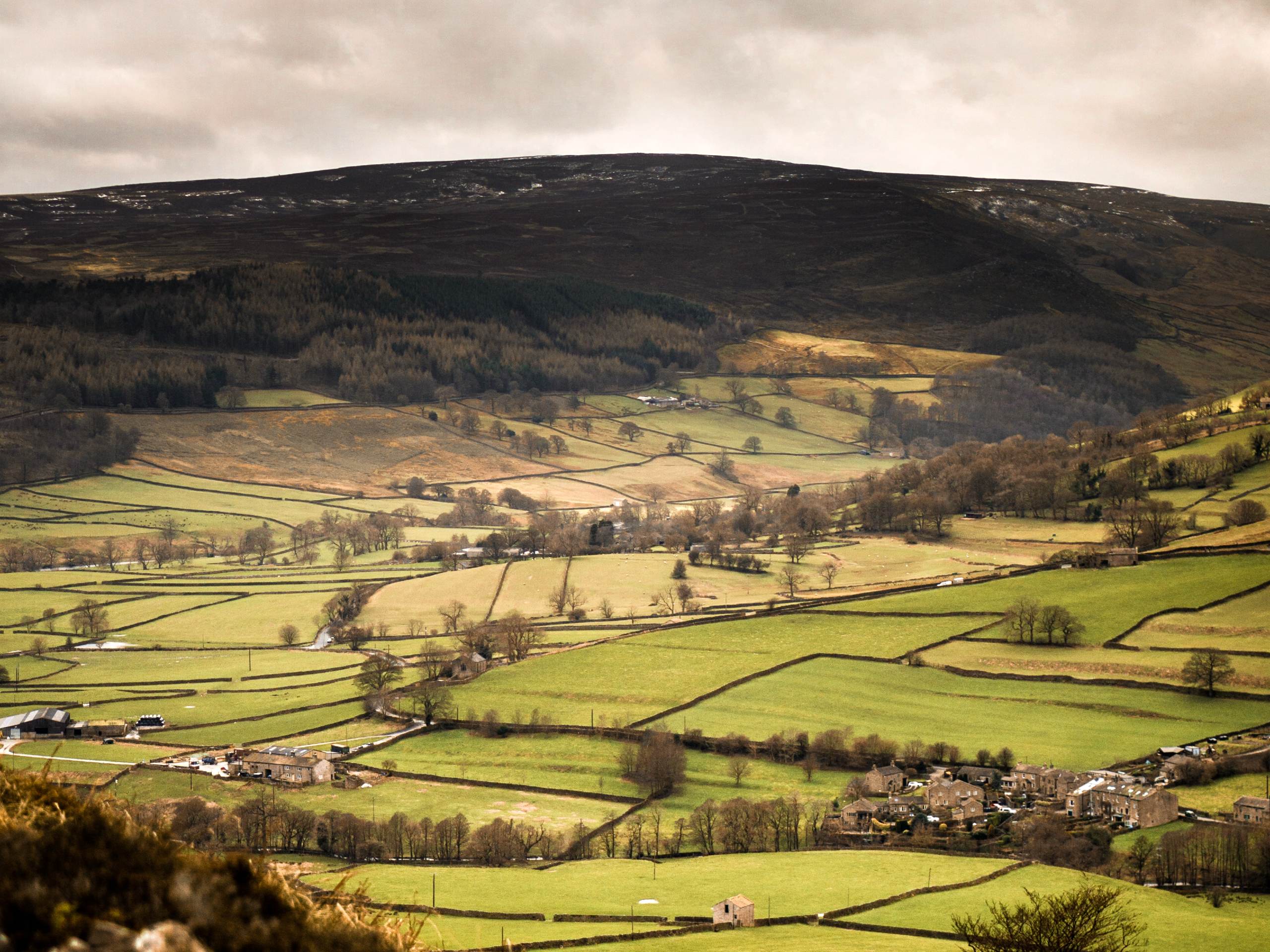 Bolton Bridge to Simon's Seat Walk