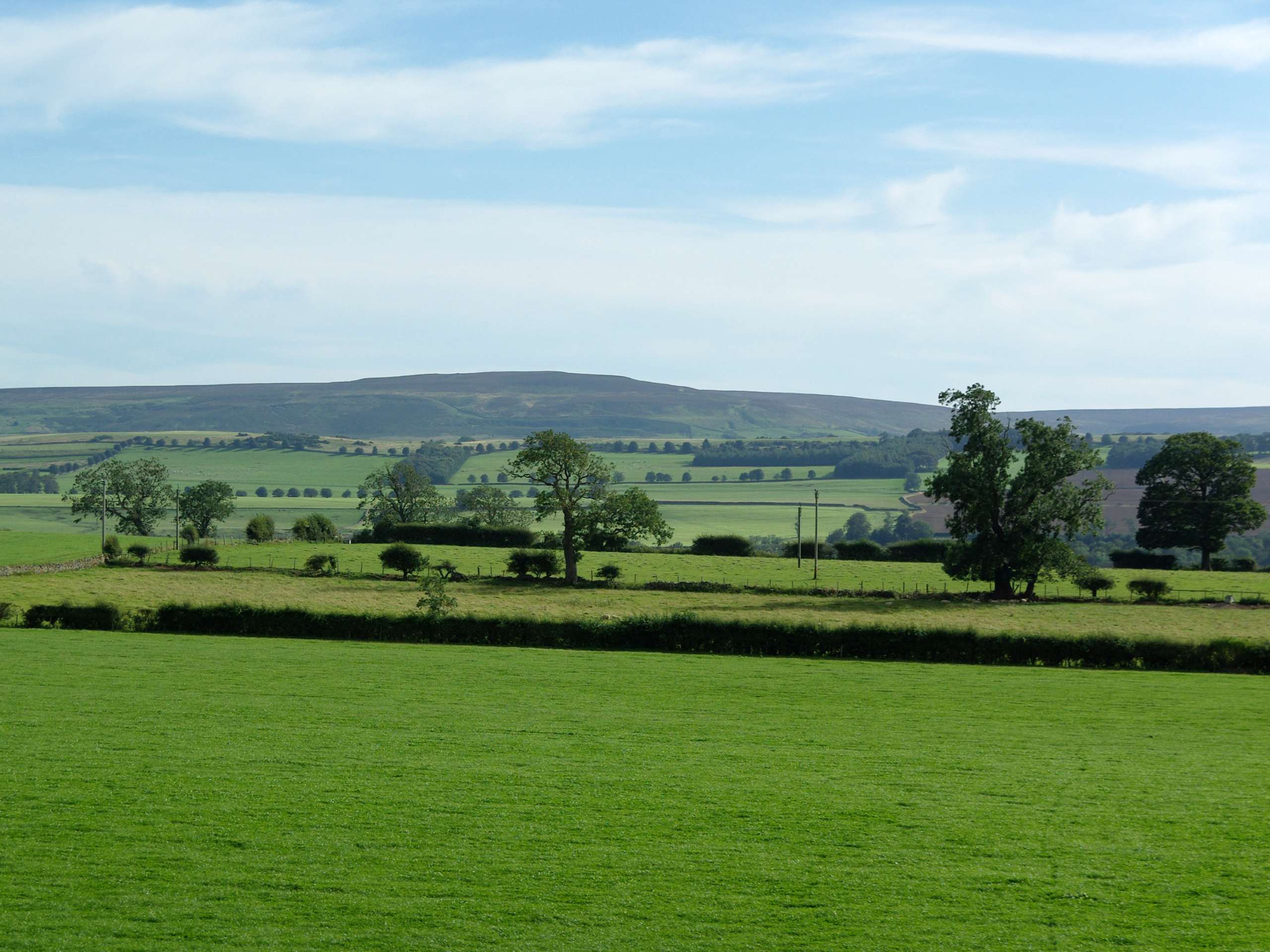 Leyburn and Wensley Walk