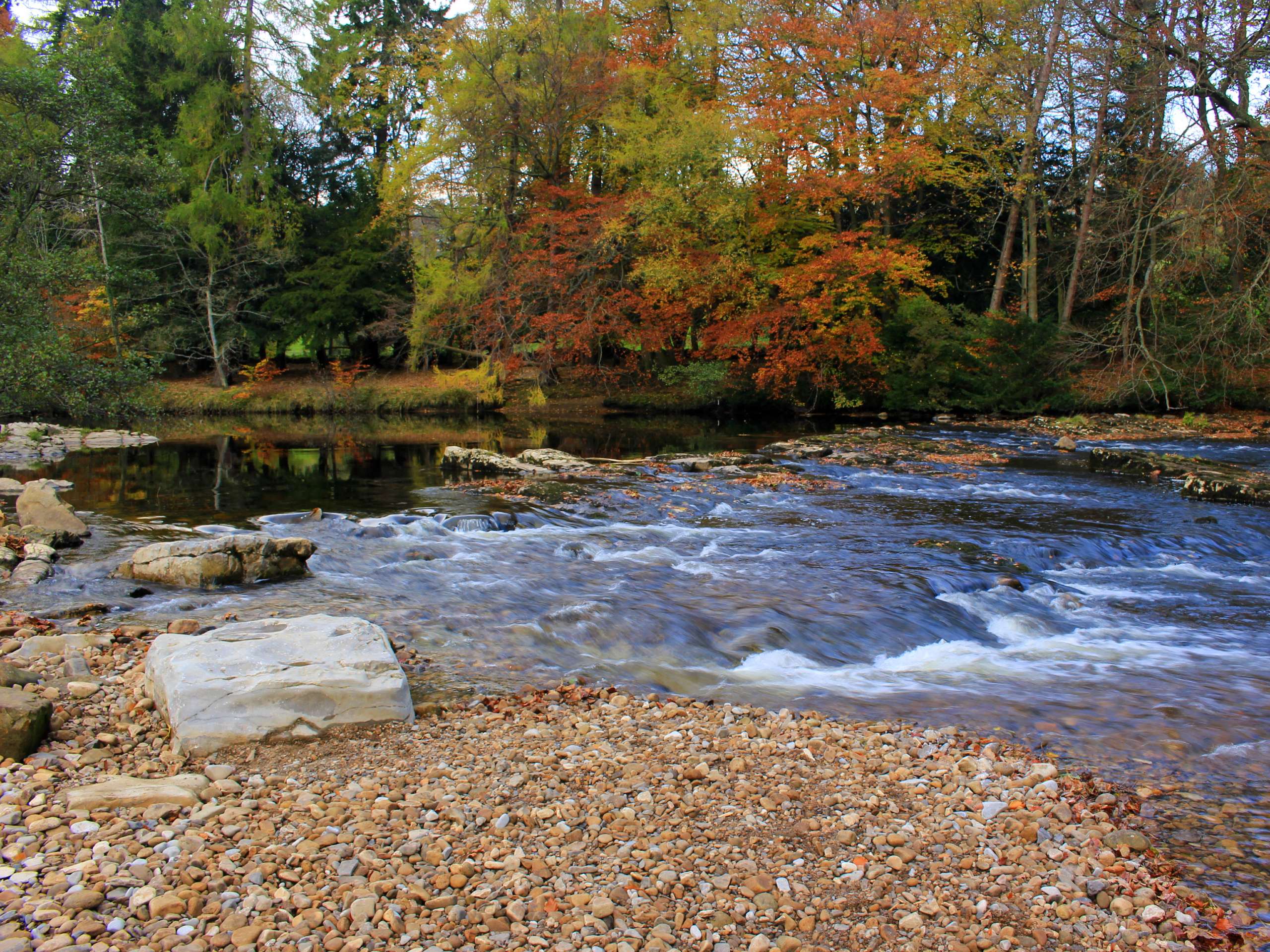 Richmond River Swale Circular Walk