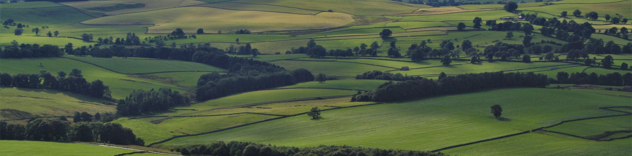 Rylstone Cross and Cracoe Obelisk Walk