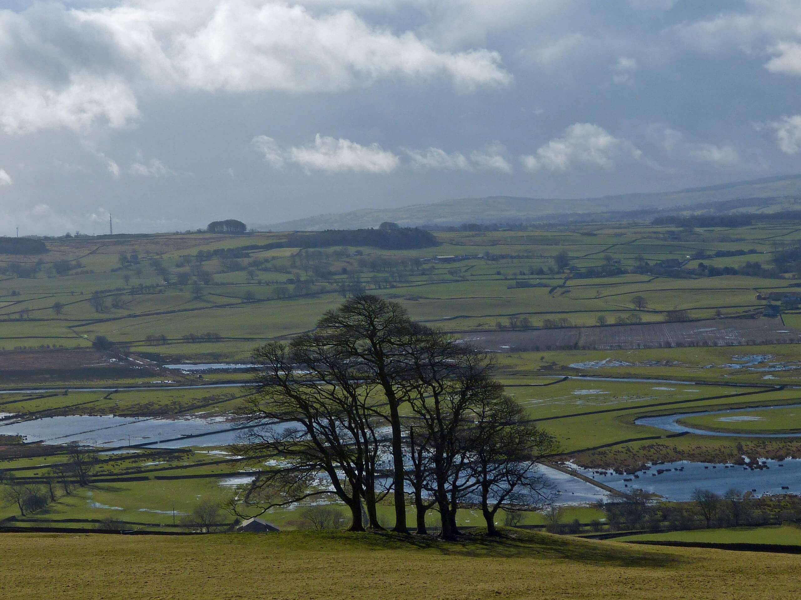 Settle and River Ribble Walk