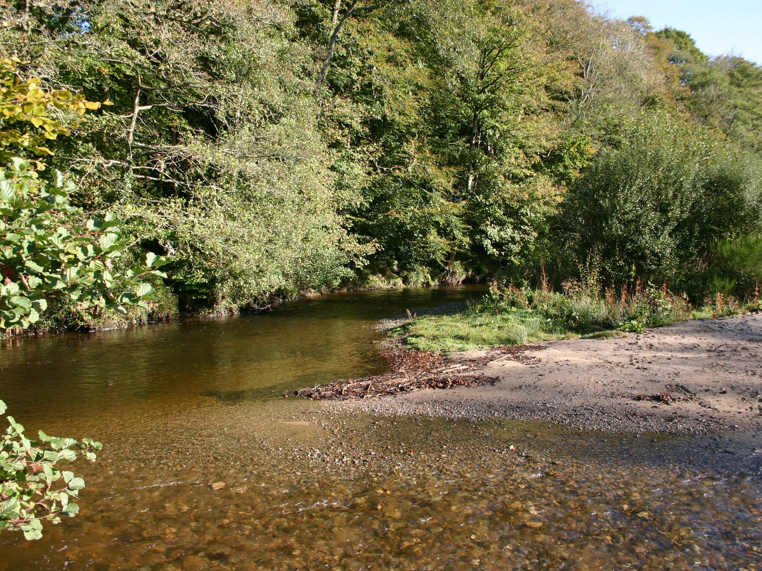 Plymbridge Circular Walk