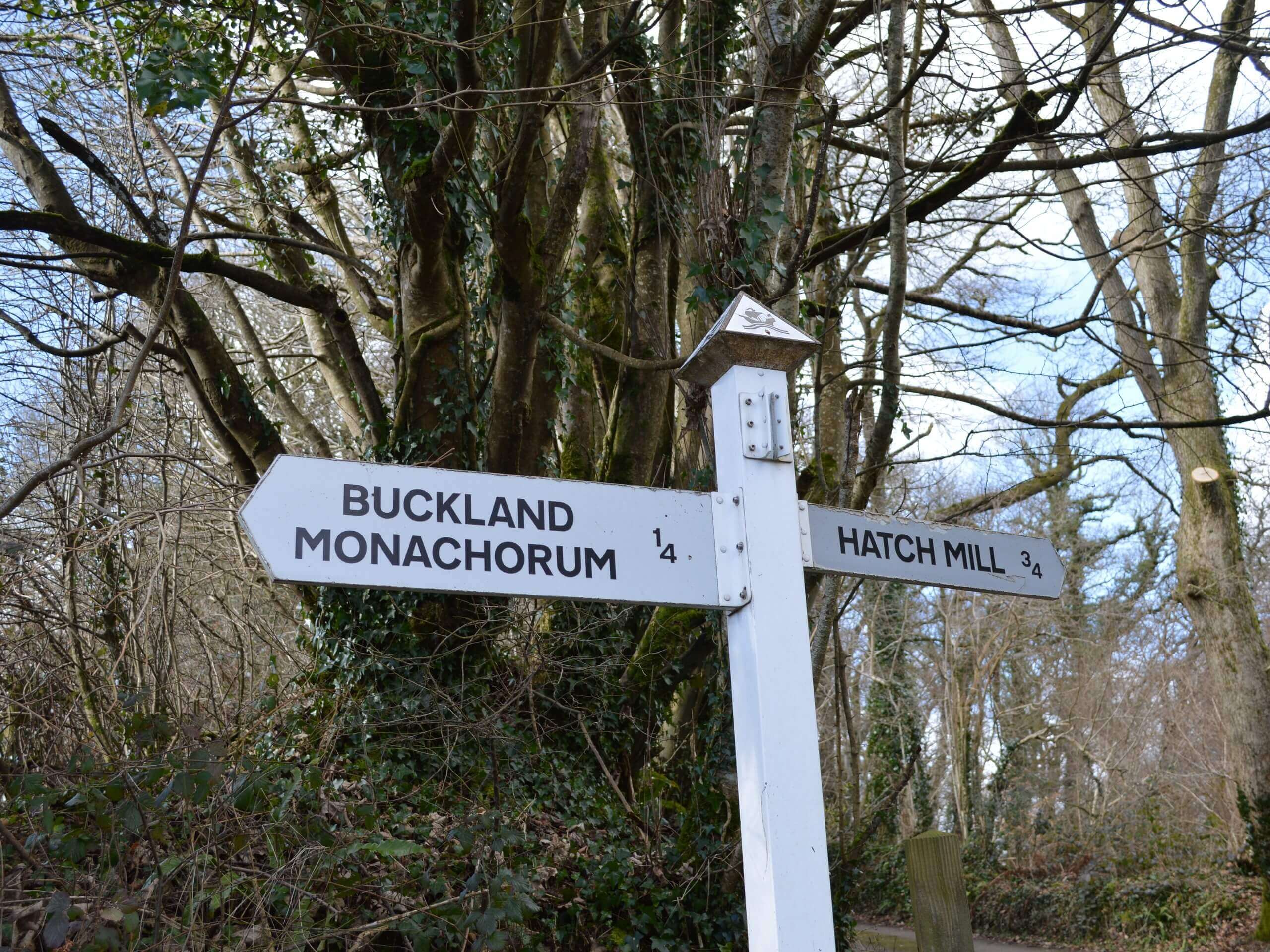 Buckland Monachorum Garden House Walk
