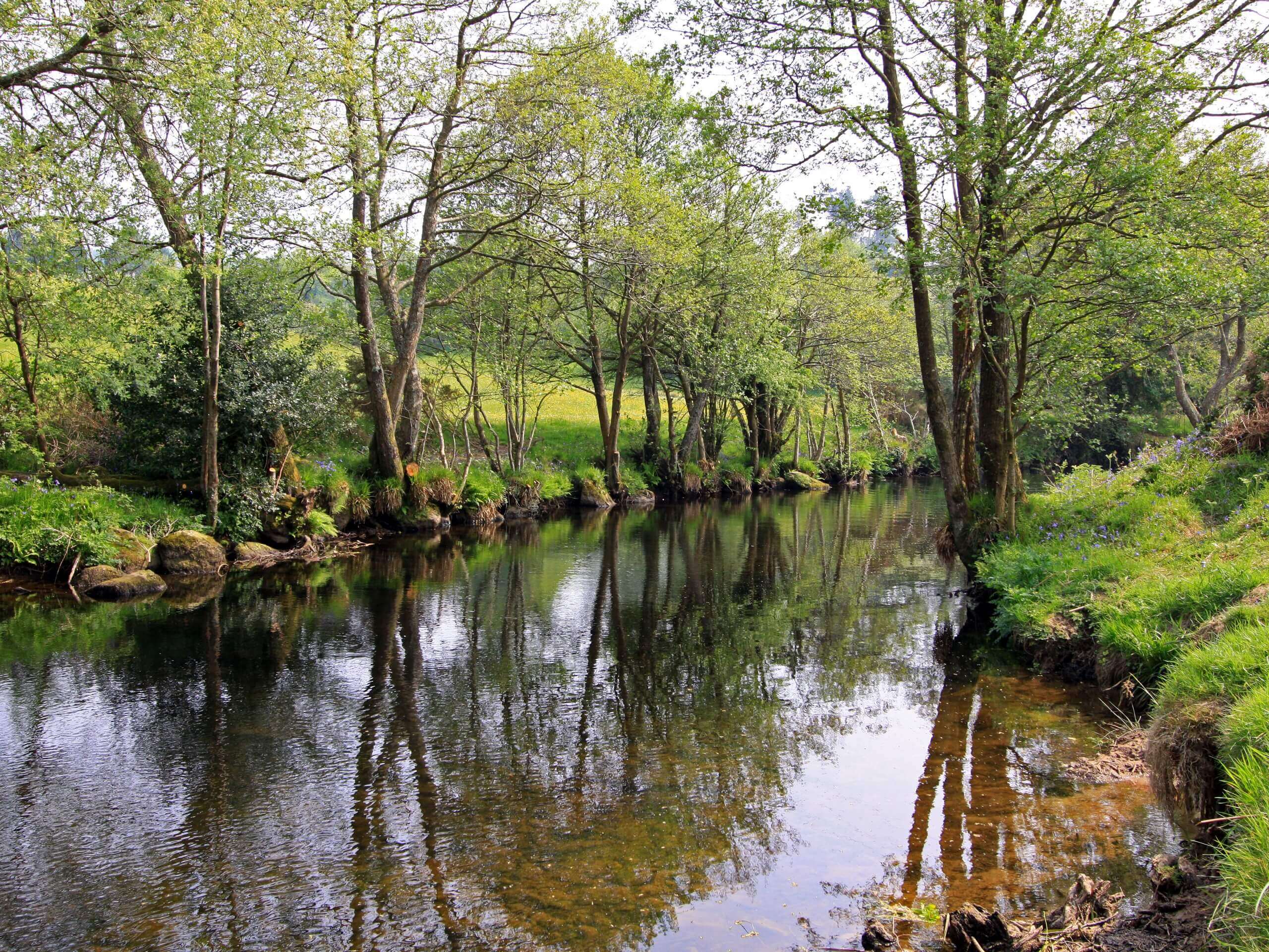 Chagford and Kestor Rocks Walk